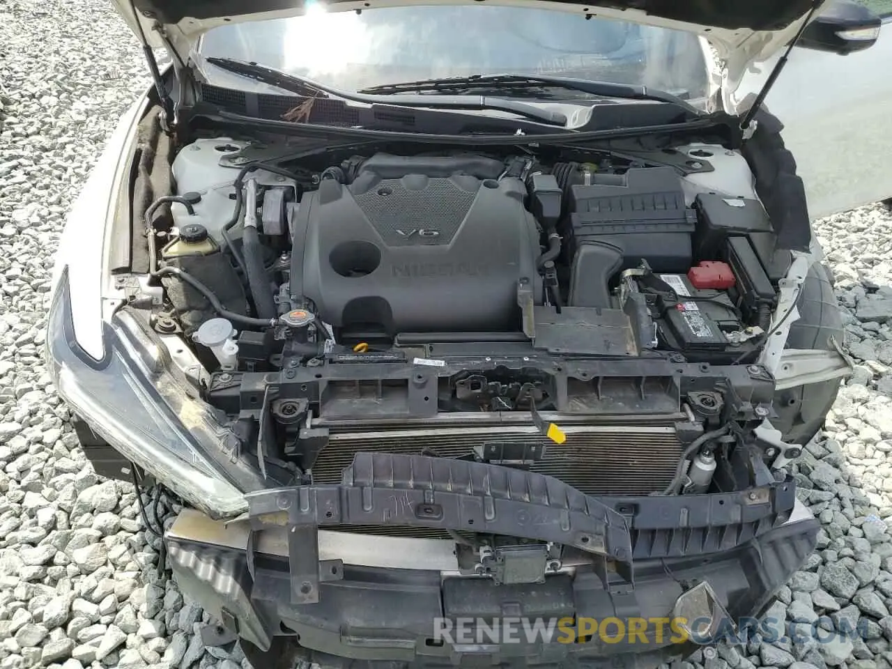 11 Photograph of a damaged car 1N4AA6AV8KC382218 NISSAN MAXIMA 2019