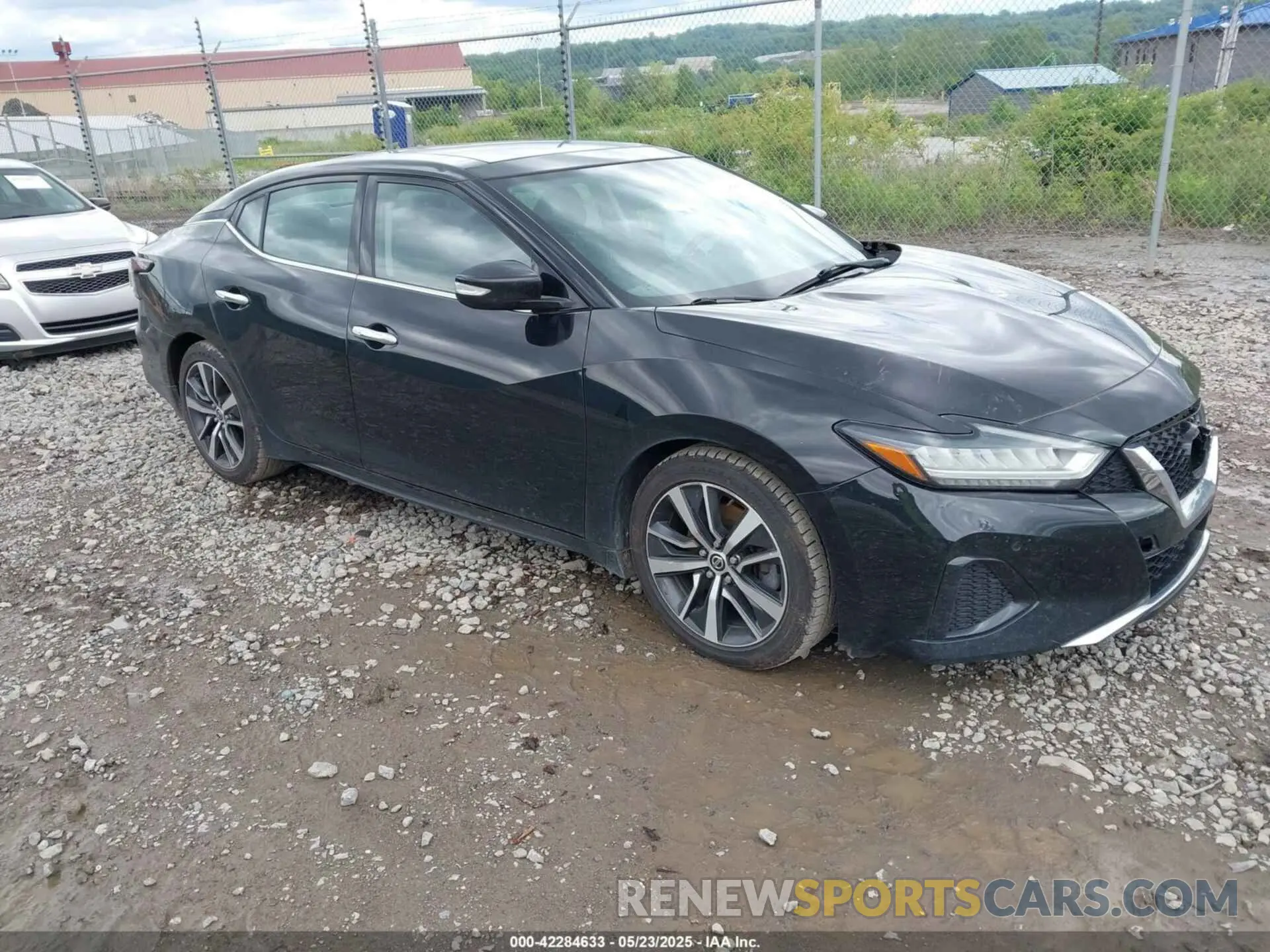 1 Фотография поврежденного автомобиля 1N4AA6AV9KC378078 NISSAN MAXIMA 2019