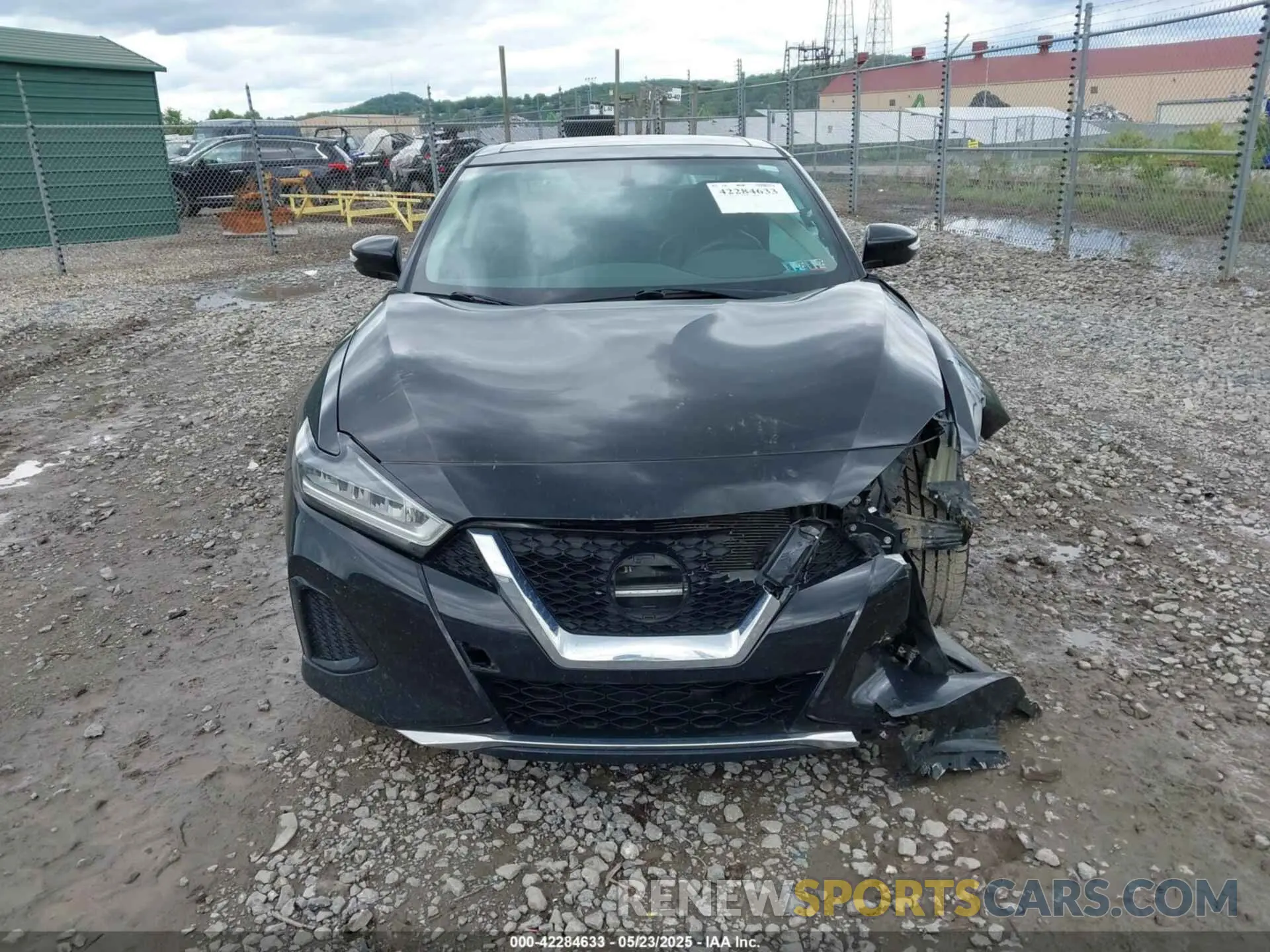 12 Фотография поврежденного автомобиля 1N4AA6AV9KC378078 NISSAN MAXIMA 2019