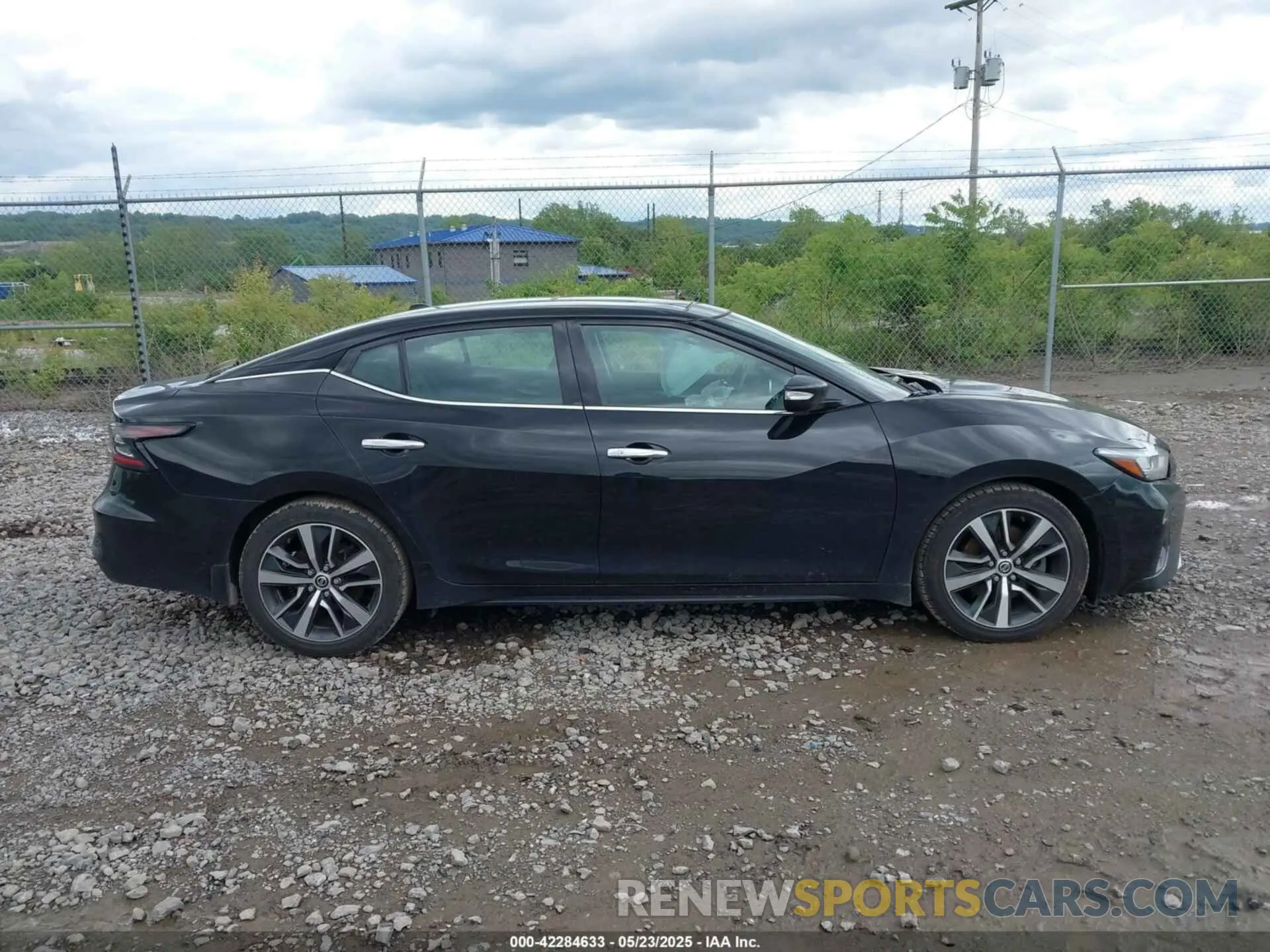 13 Фотография поврежденного автомобиля 1N4AA6AV9KC378078 NISSAN MAXIMA 2019