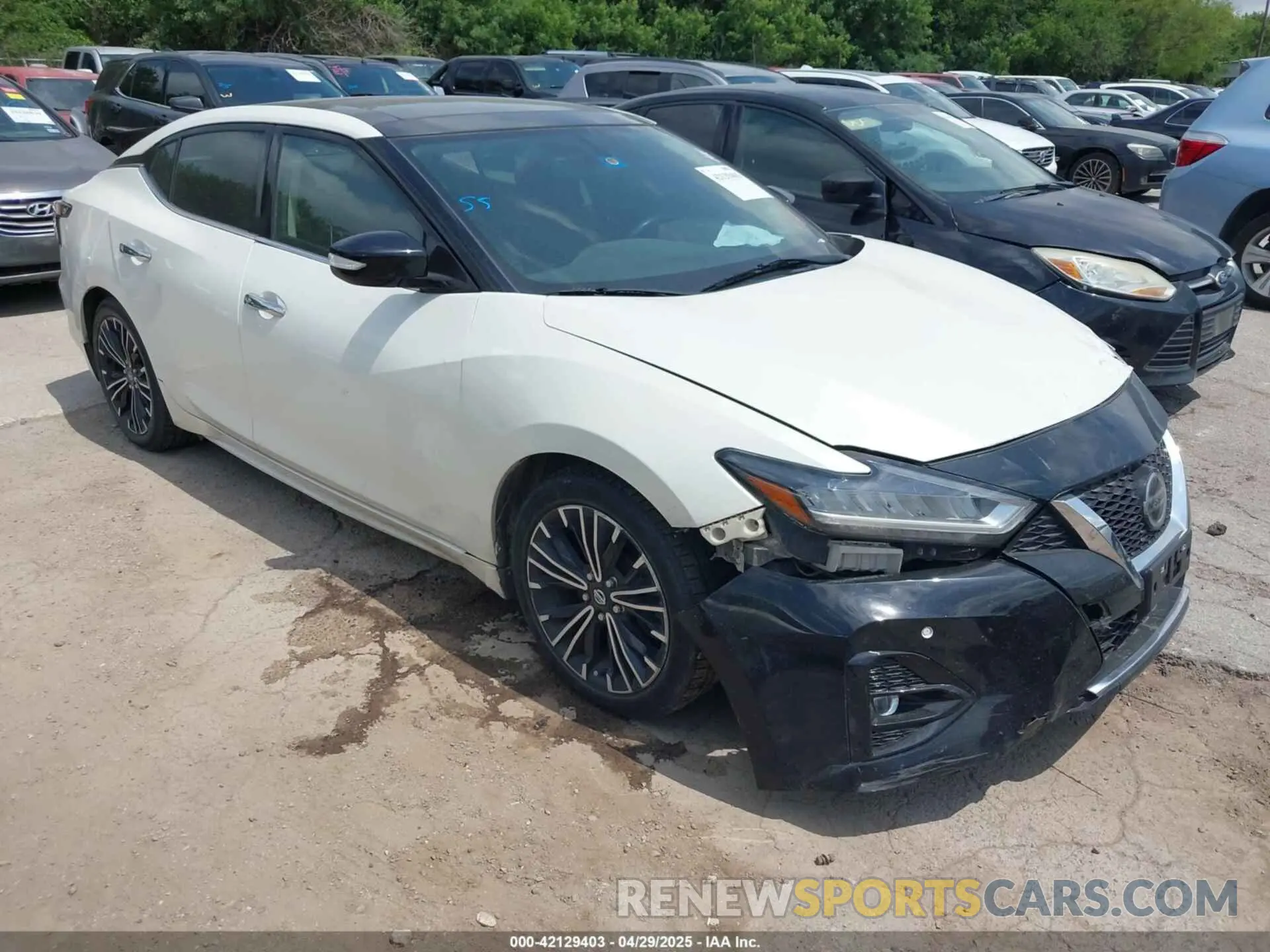 1 Фотография поврежденного автомобиля 1N4AA6AVXKC370667 NISSAN MAXIMA 2019