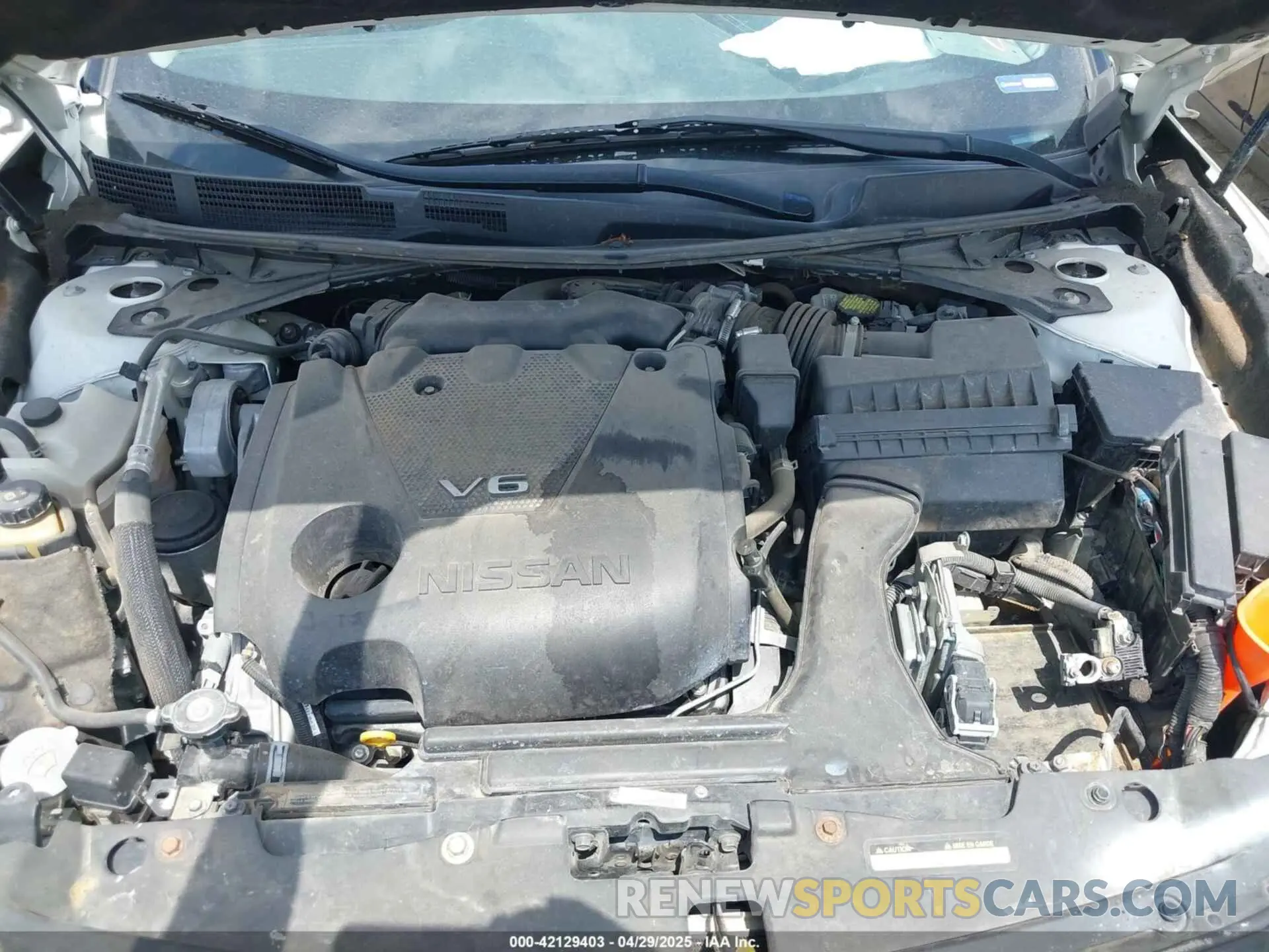 10 Фотография поврежденного автомобиля 1N4AA6AVXKC370667 NISSAN MAXIMA 2019