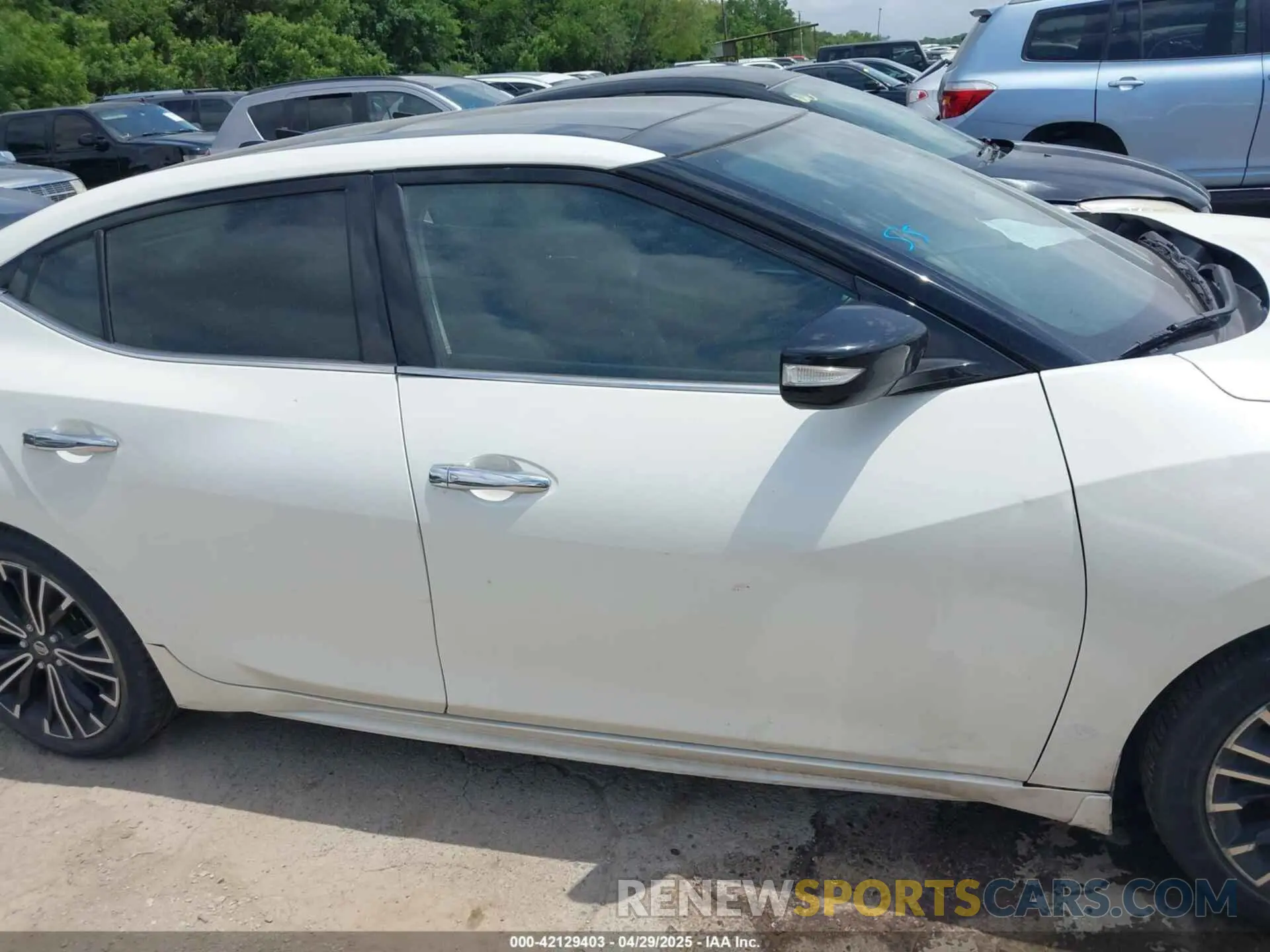 13 Фотография поврежденного автомобиля 1N4AA6AVXKC370667 NISSAN MAXIMA 2019