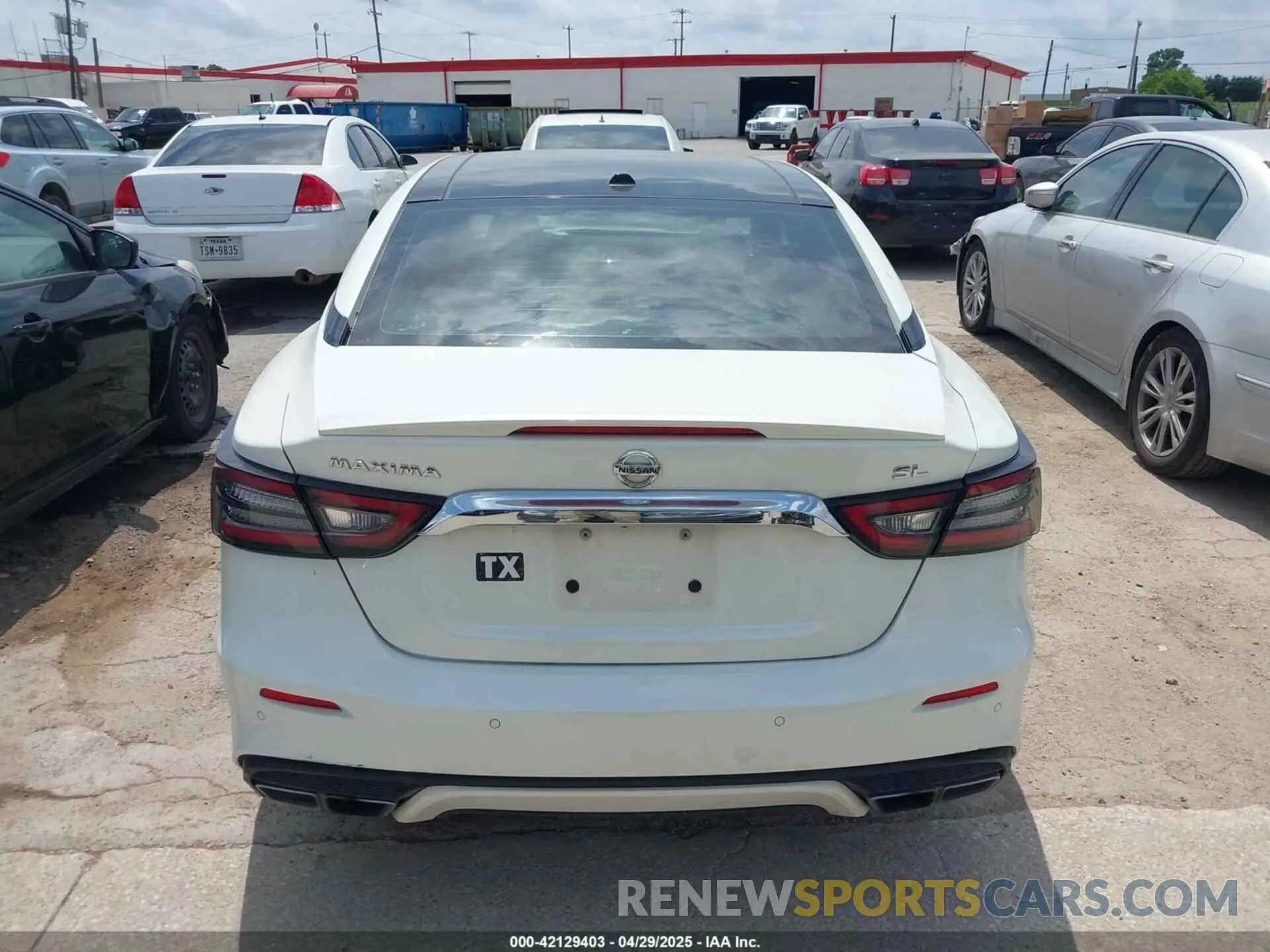 16 Фотография поврежденного автомобиля 1N4AA6AVXKC370667 NISSAN MAXIMA 2019