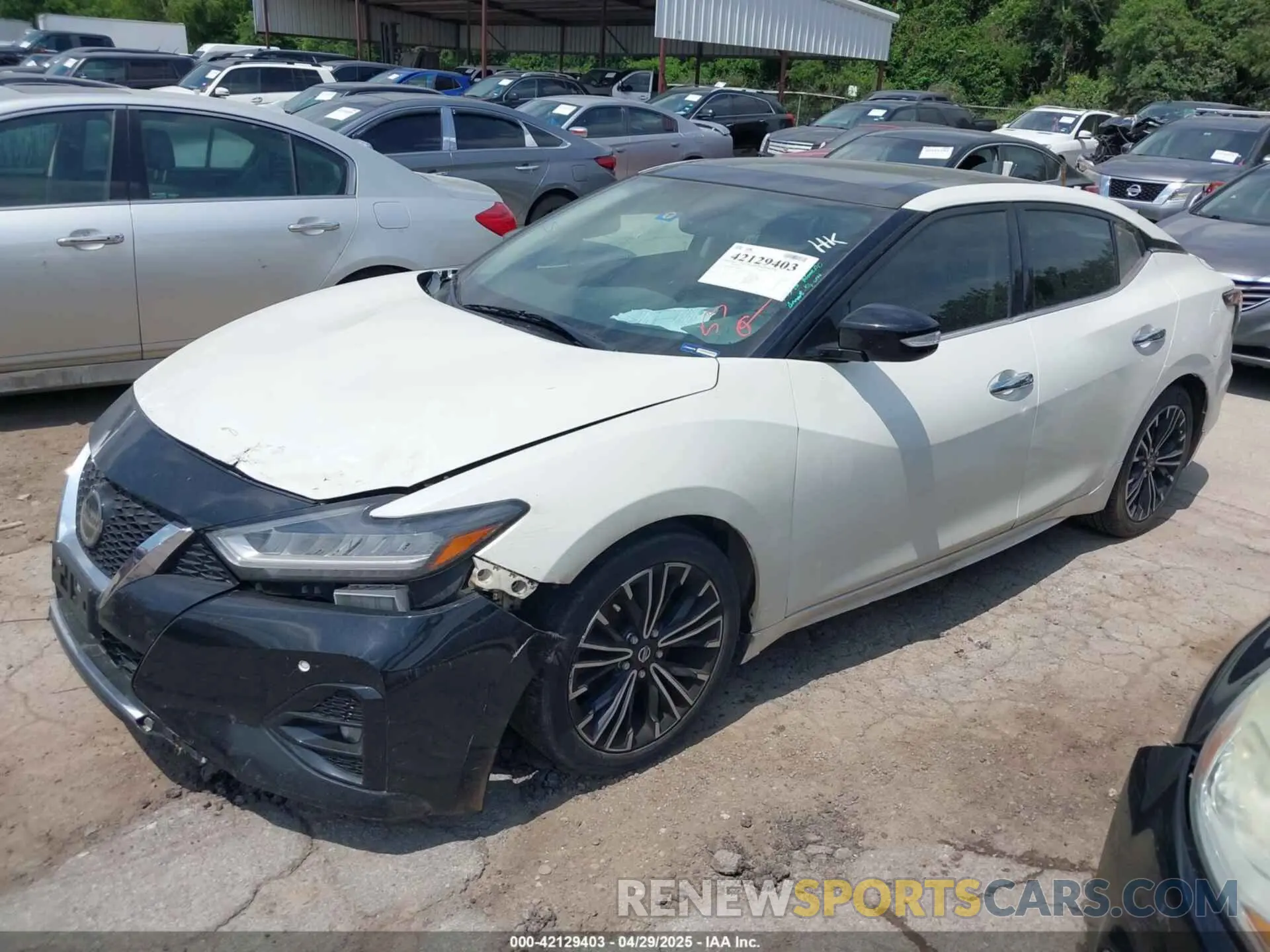 2 Фотография поврежденного автомобиля 1N4AA6AVXKC370667 NISSAN MAXIMA 2019