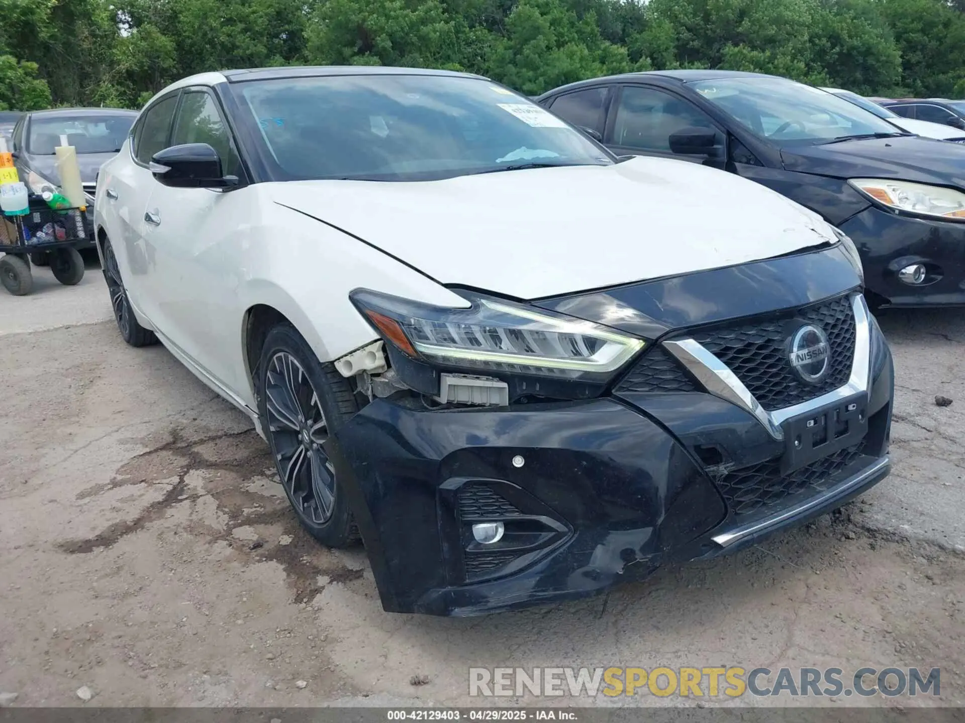 6 Фотография поврежденного автомобиля 1N4AA6AVXKC370667 NISSAN MAXIMA 2019