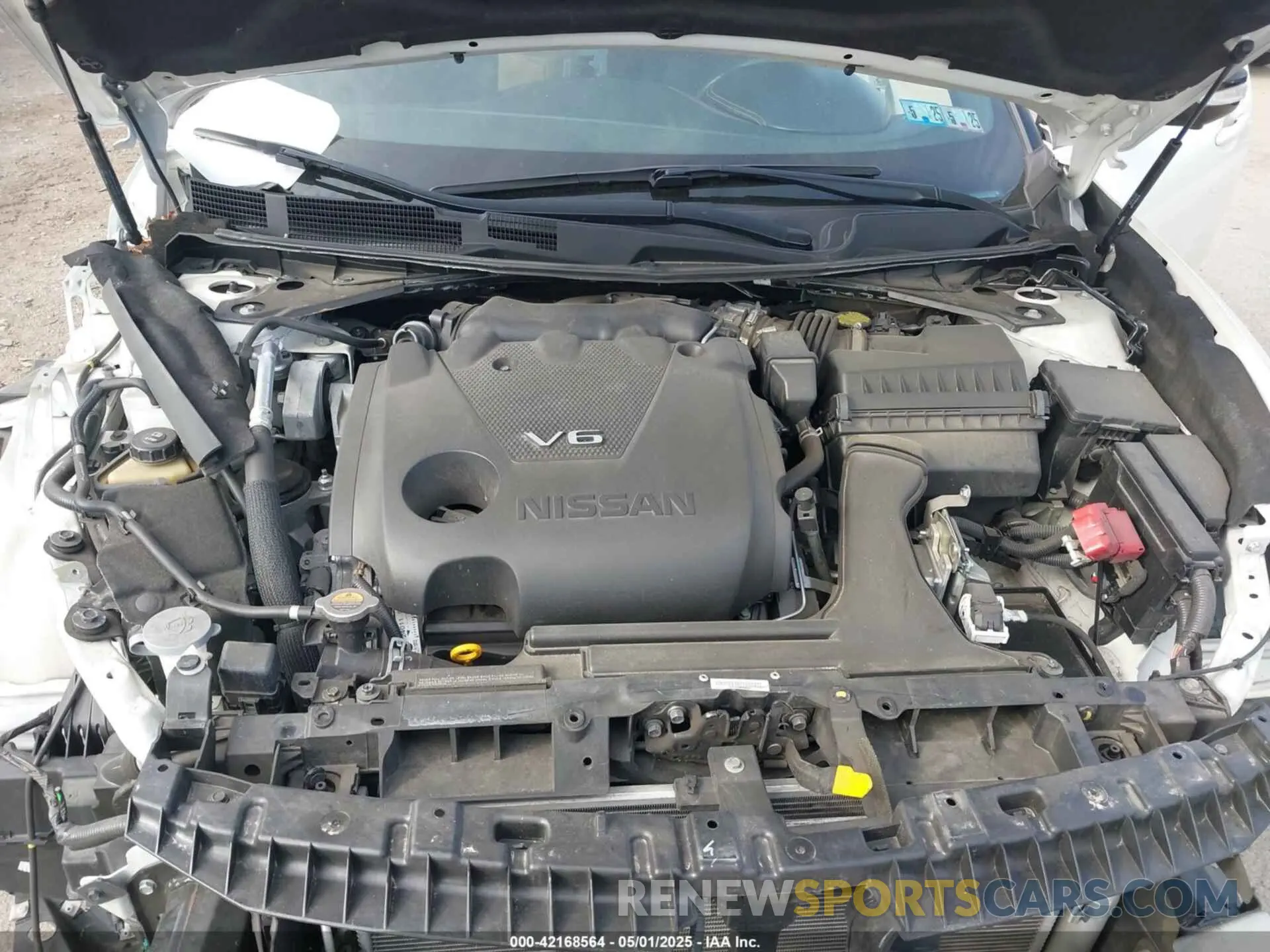10 Photograph of a damaged car 1N4AA6AVXKC381023 NISSAN MAXIMA 2019