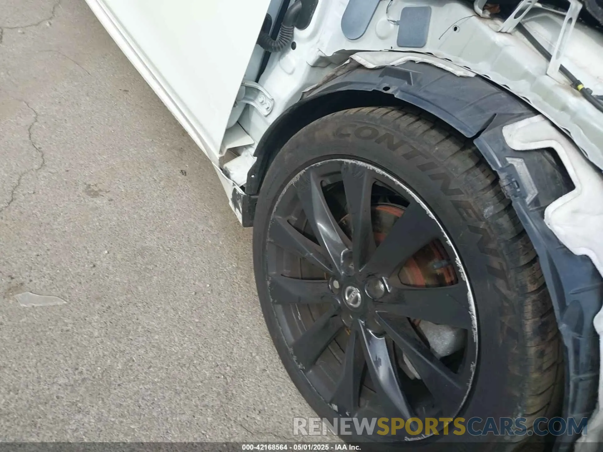 12 Photograph of a damaged car 1N4AA6AVXKC381023 NISSAN MAXIMA 2019