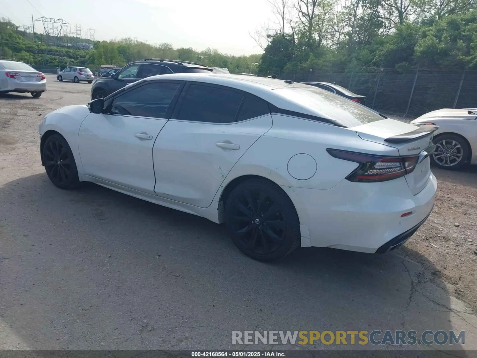 3 Photograph of a damaged car 1N4AA6AVXKC381023 NISSAN MAXIMA 2019