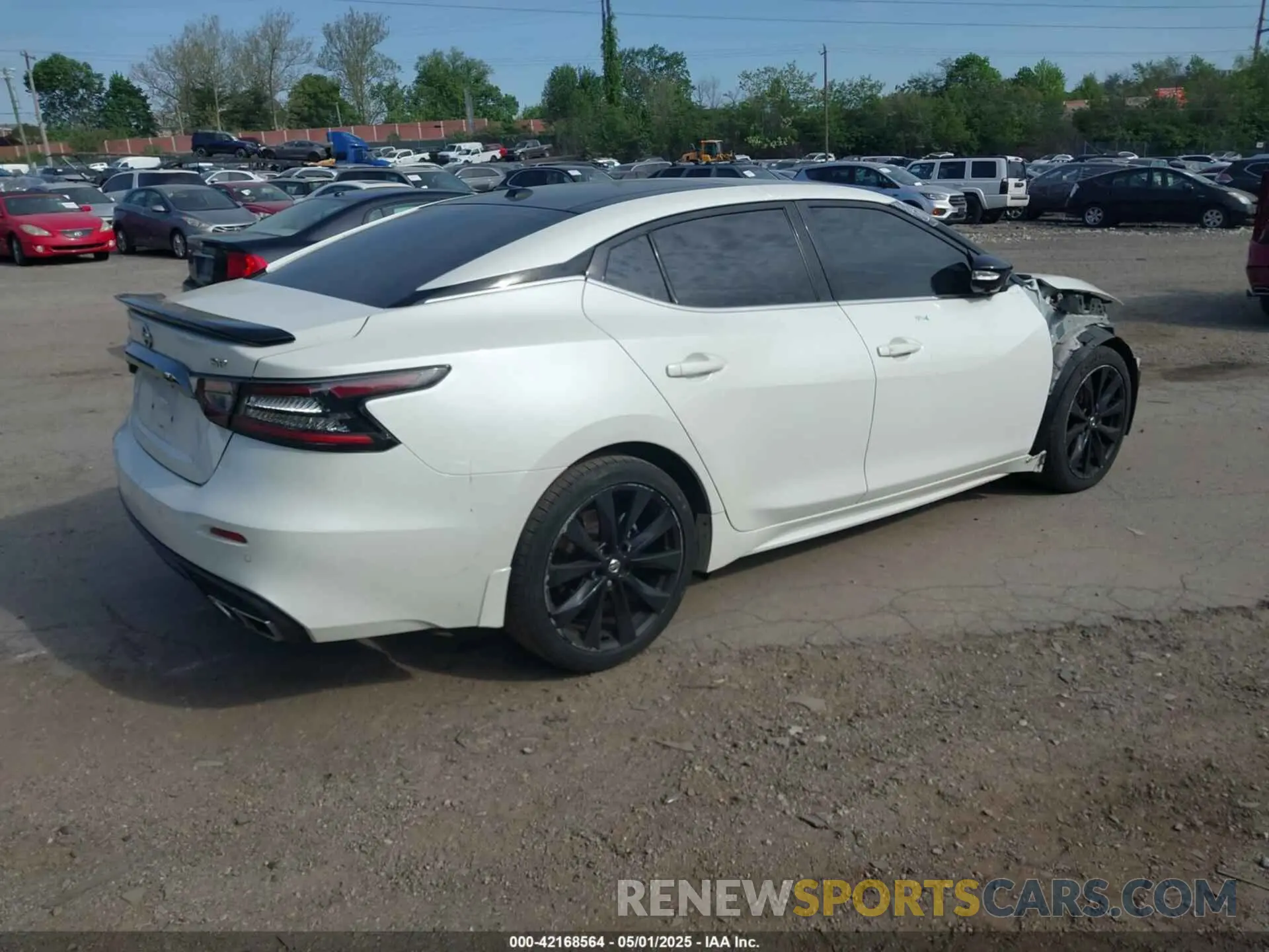 4 Photograph of a damaged car 1N4AA6AVXKC381023 NISSAN MAXIMA 2019