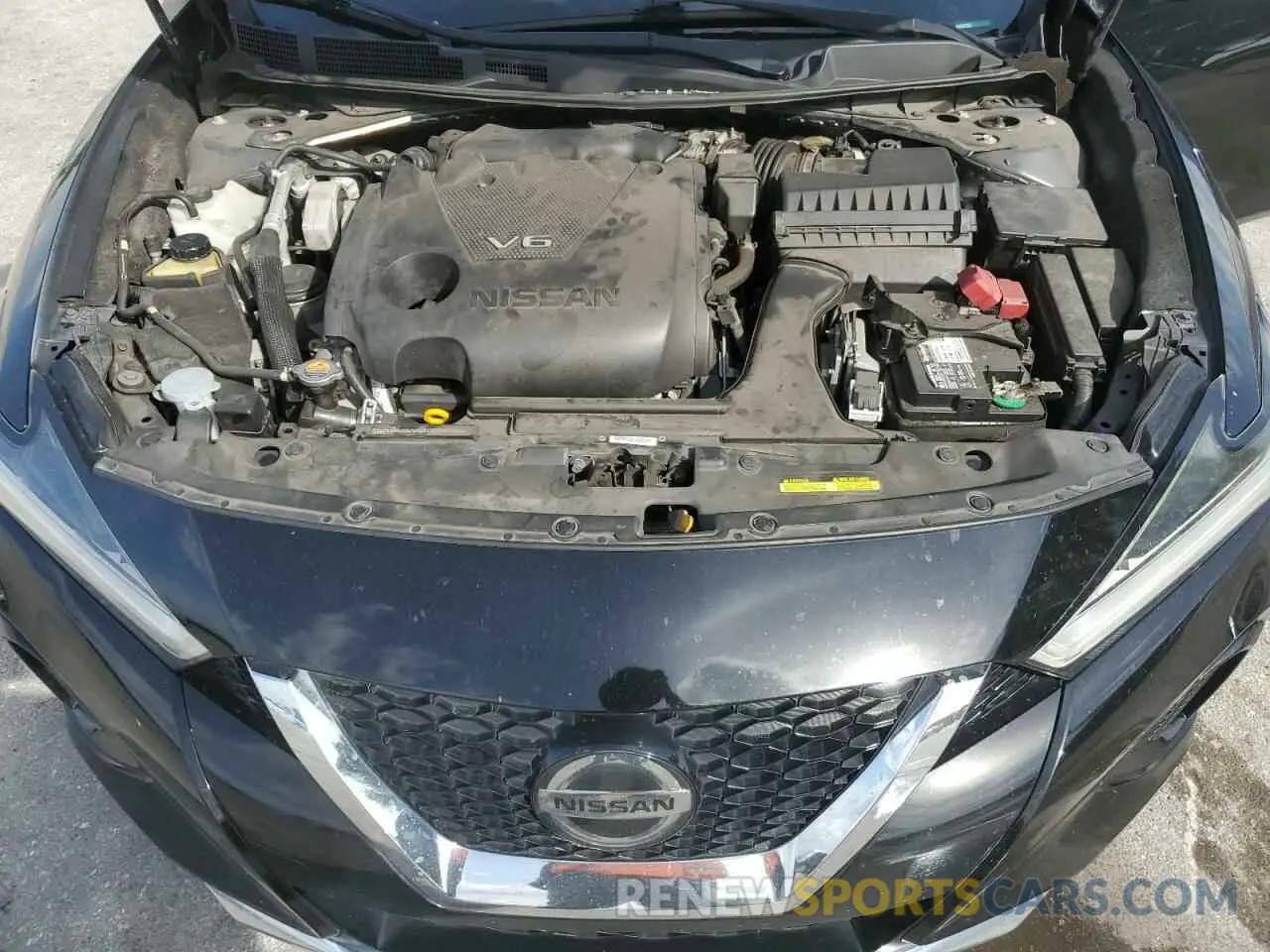 13 Photograph of a damaged car 1N4AA6CV0LC360275 NISSAN MAXIMA 2020