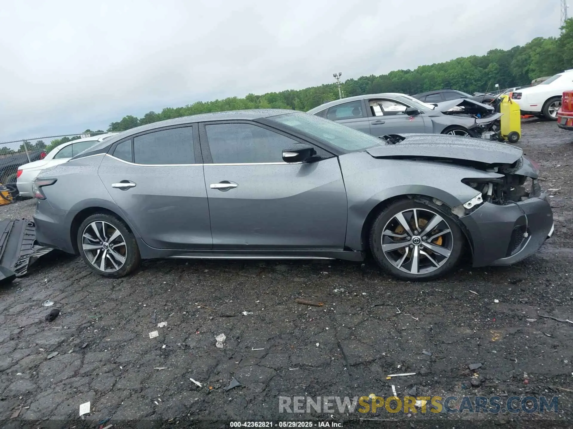 14 Photograph of a damaged car 1N4AA6CV2LC362822 NISSAN MAXIMA 2020