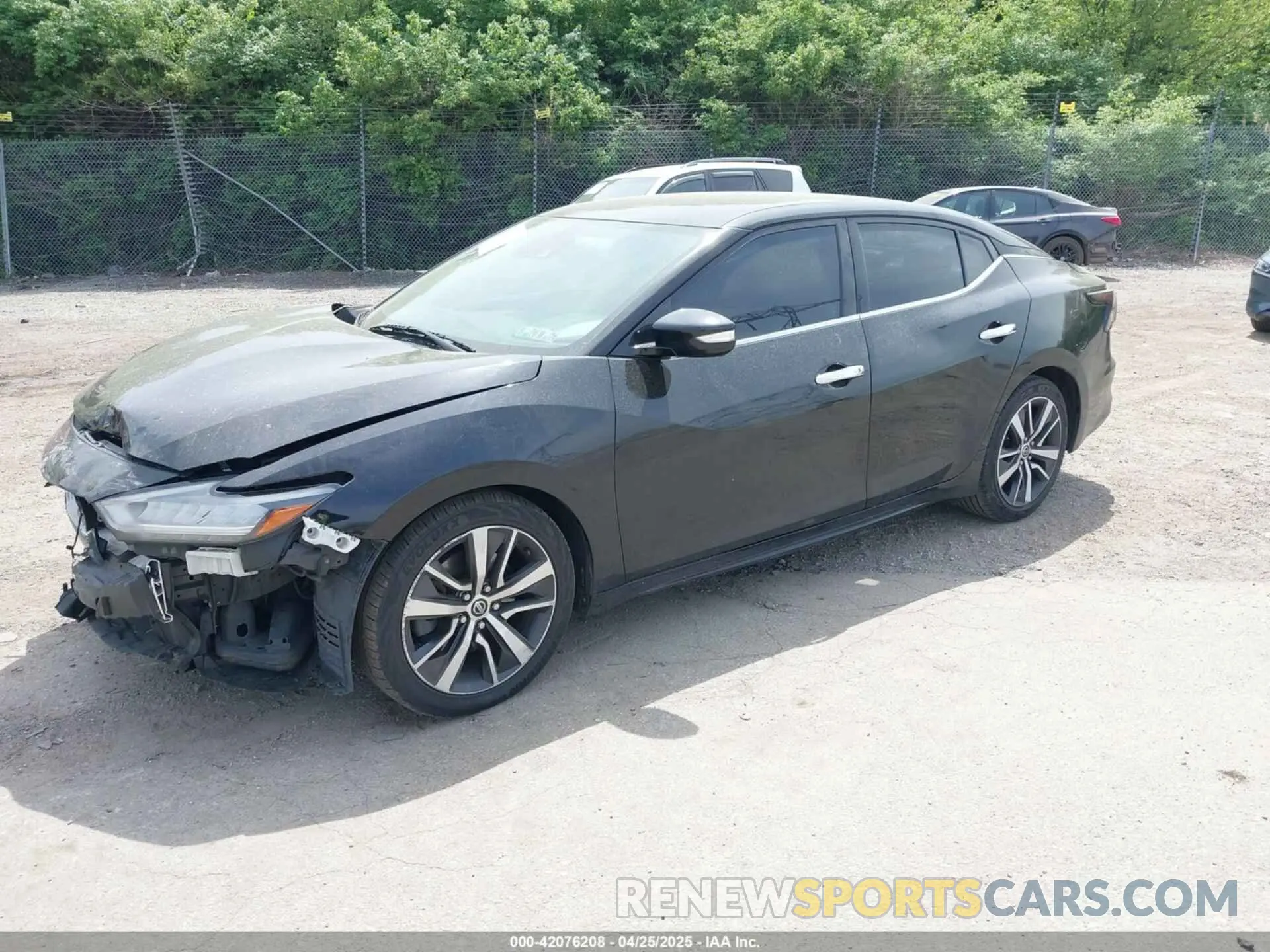 2 Photograph of a damaged car 1N4AA6CV9LC363529 NISSAN MAXIMA 2020
