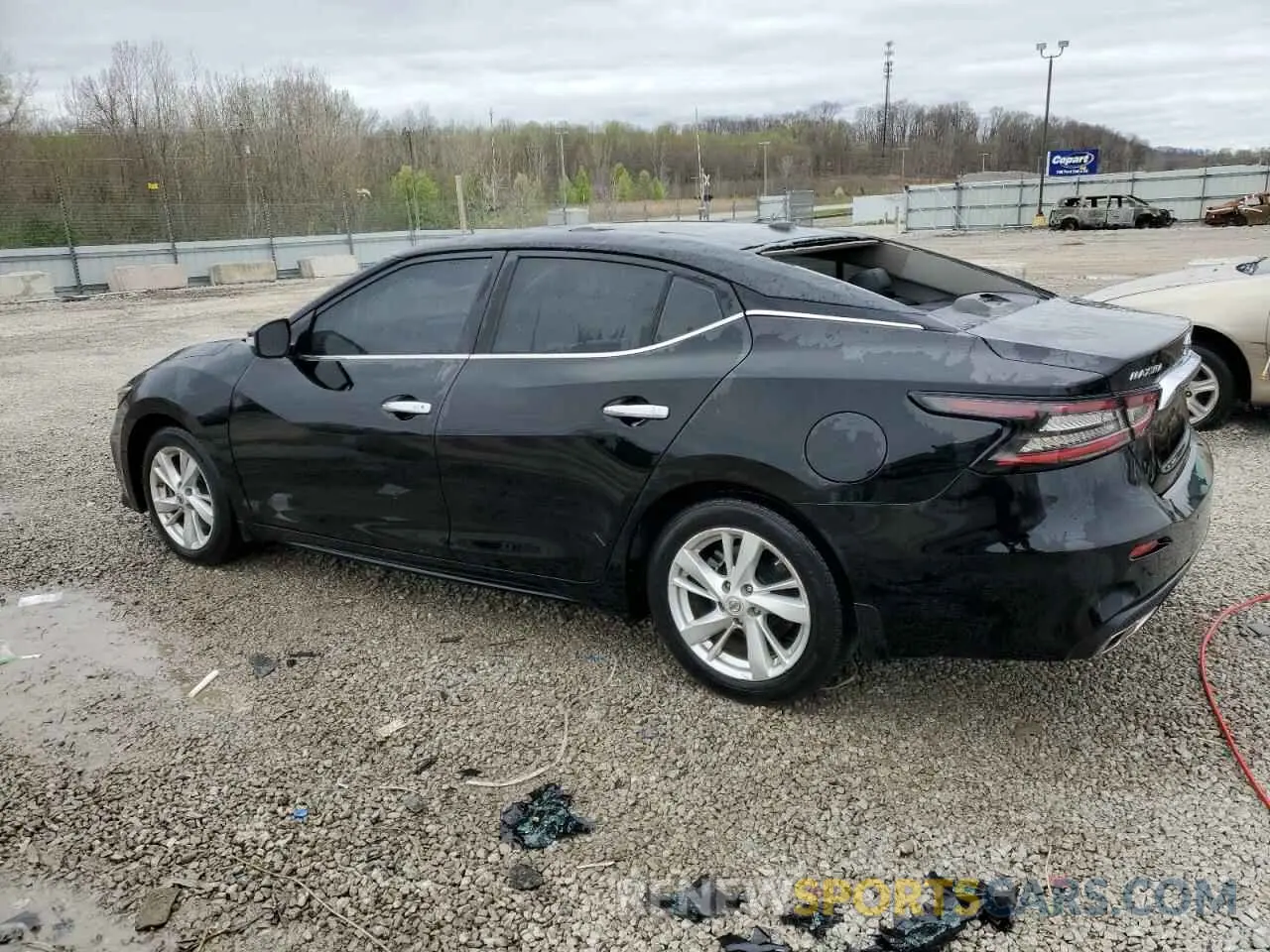 2 Photograph of a damaged car 1N4AA6DV1LC376323 NISSAN MAXIMA 2020