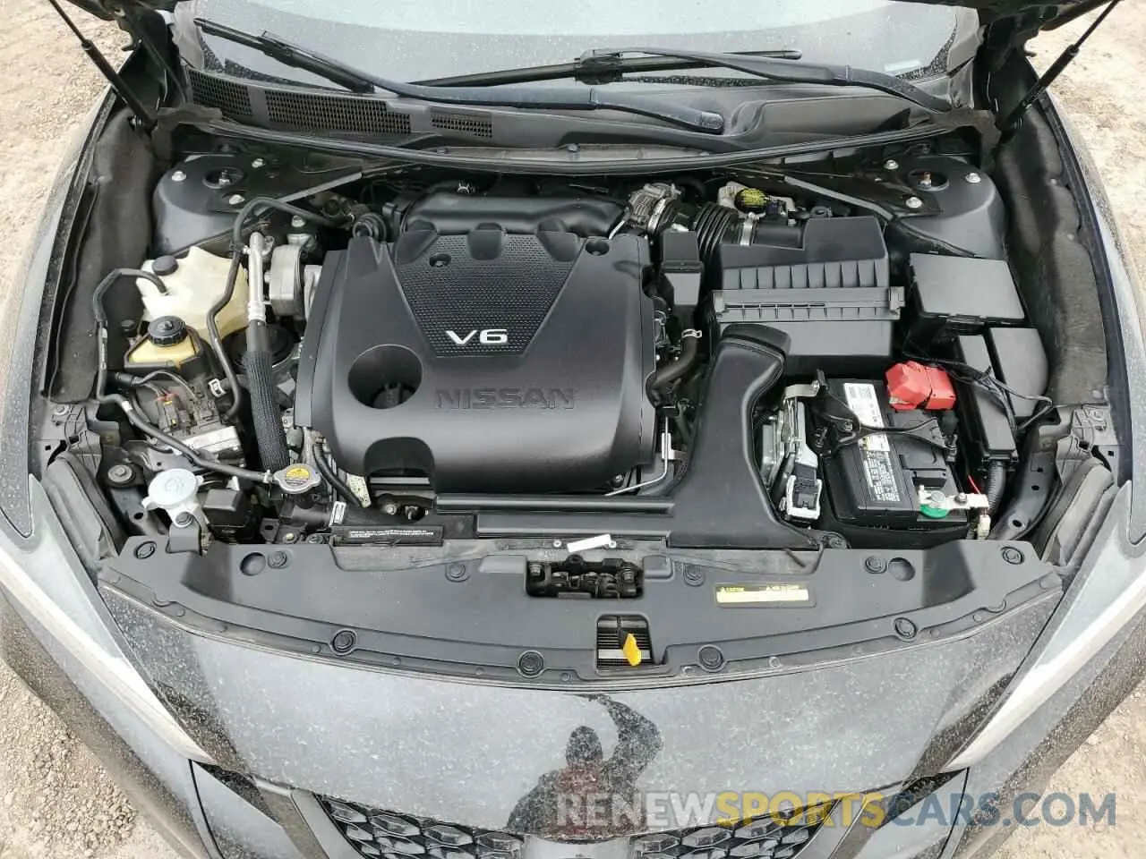 13 Фотография поврежденного автомобиля 1N4AA6DV5LC373103 NISSAN MAXIMA 2020
