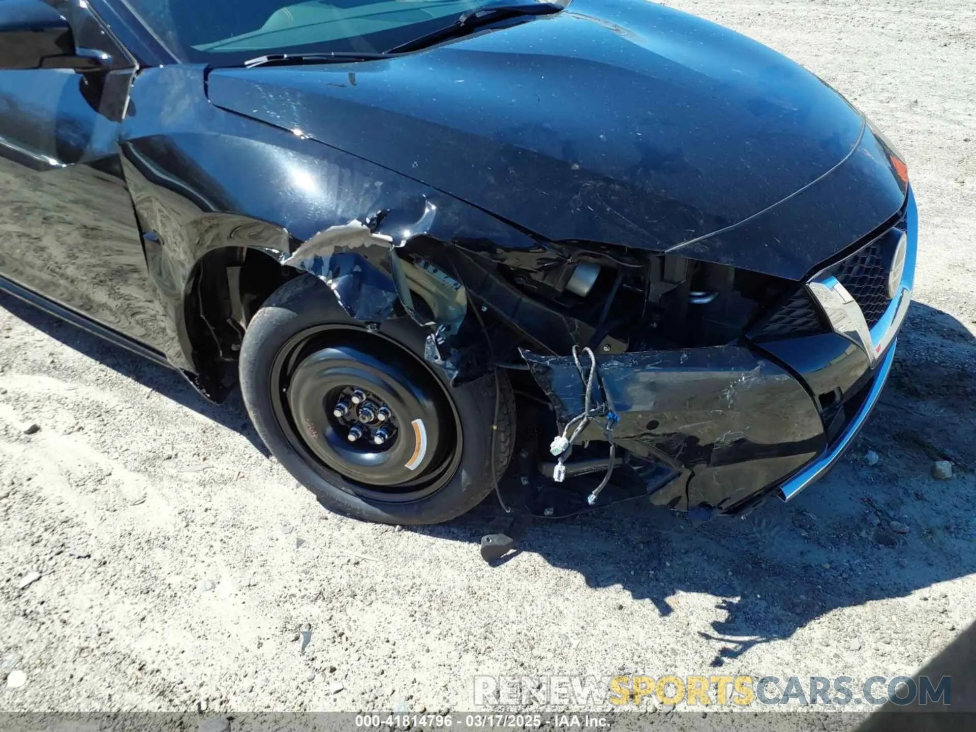 6 Photograph of a damaged car 1N4AA6EV9LC378772 NISSAN MAXIMA 2020