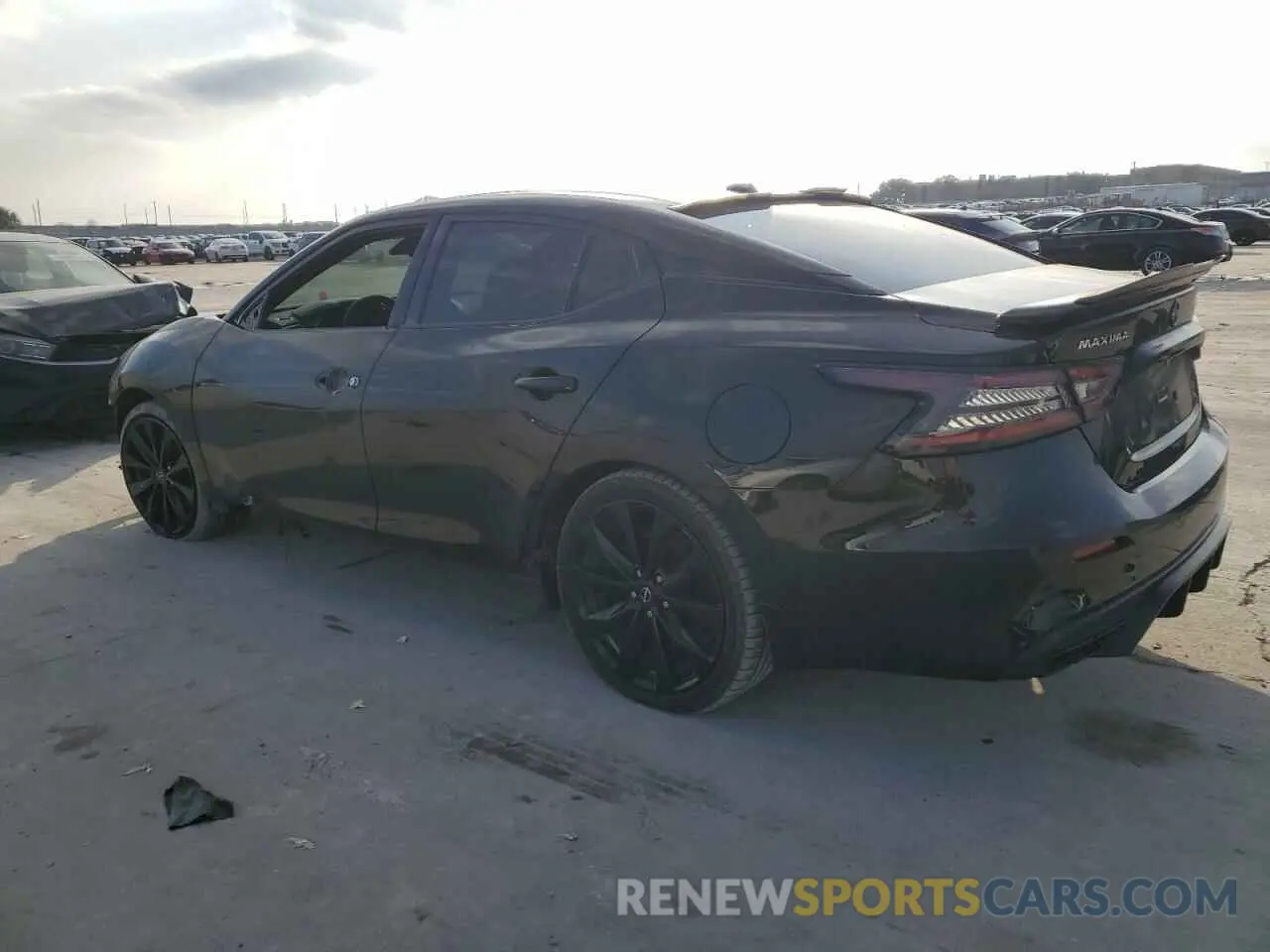 2 Photograph of a damaged car 1N4AA6EVXLC366646 NISSAN MAXIMA 2020