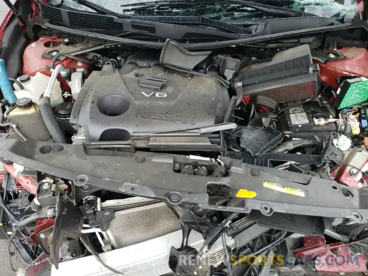 11 Photograph of a damaged car 1N4AA6FV7LC368384 NISSAN MAXIMA 2020