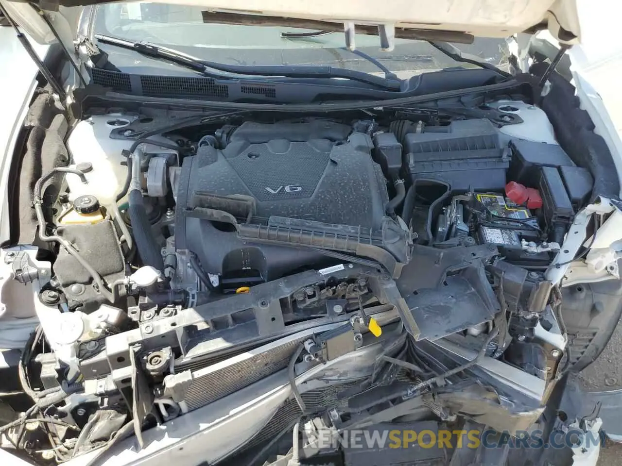 11 Photograph of a damaged car 1N4AA6FV8LC381418 NISSAN MAXIMA 2020