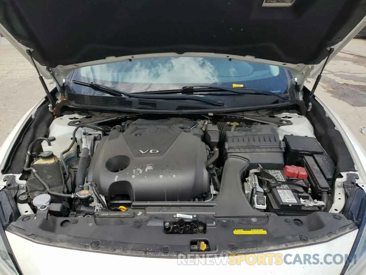 11 Photograph of a damaged car 1N4AA6CV0MC509513 NISSAN MAXIMA 2021