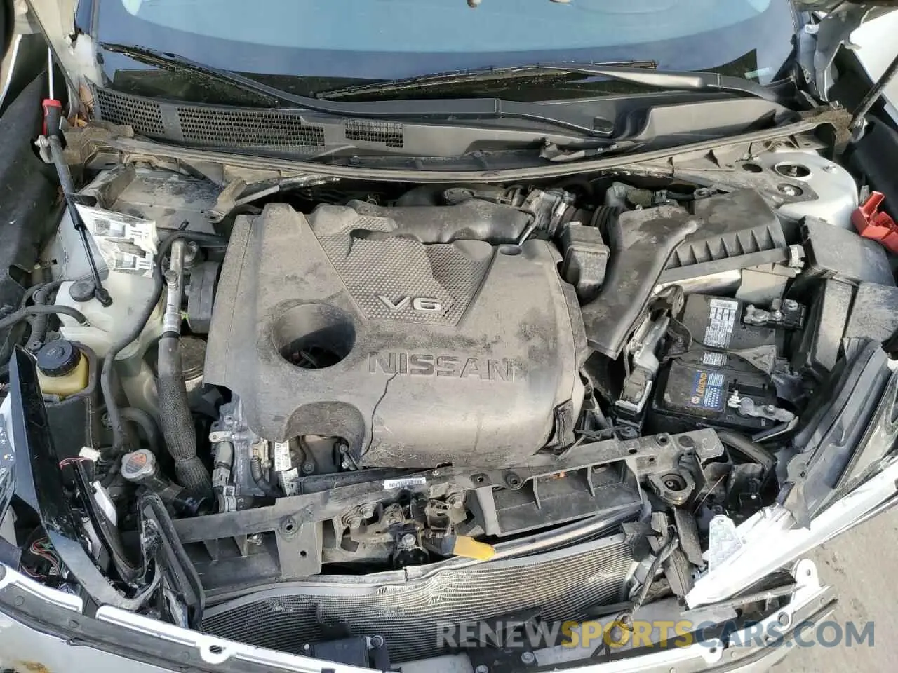 12 Photograph of a damaged car 1N4AA6CV1MC504370 NISSAN MAXIMA 2021