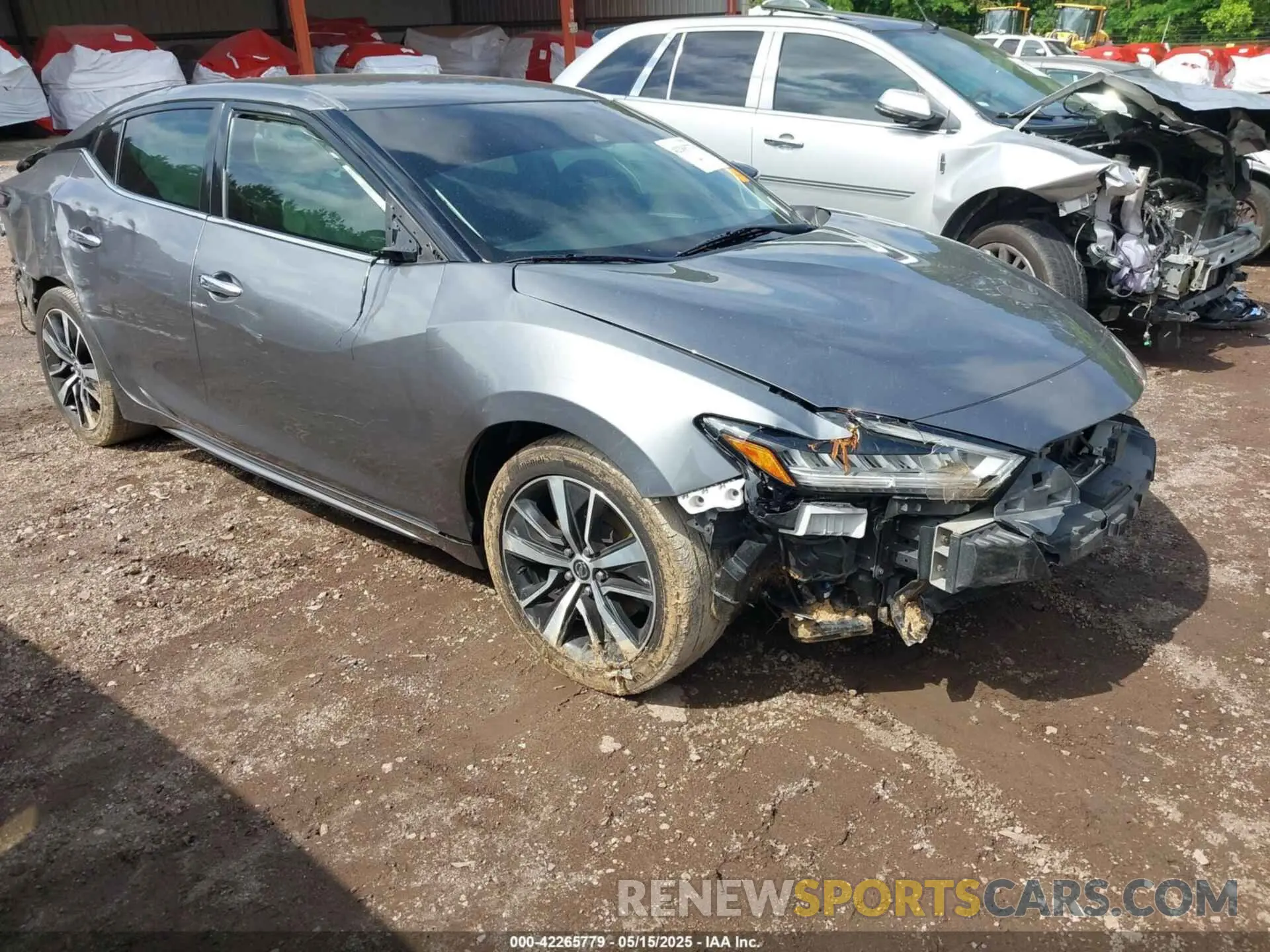 1 Фотография поврежденного автомобиля 1N4AA6CV4MC503018 NISSAN MAXIMA 2021