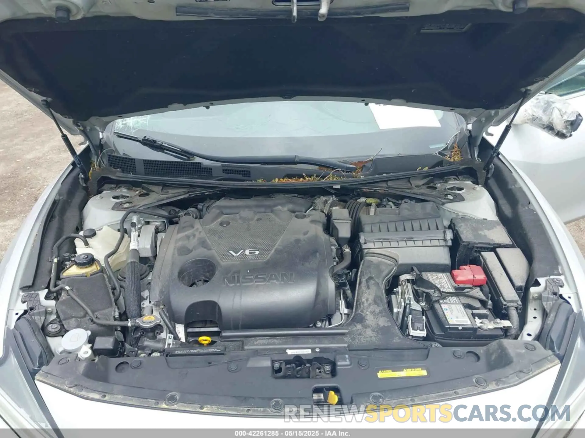 10 Photograph of a damaged car 1N4AA6CV4MC513919 NISSAN MAXIMA 2021