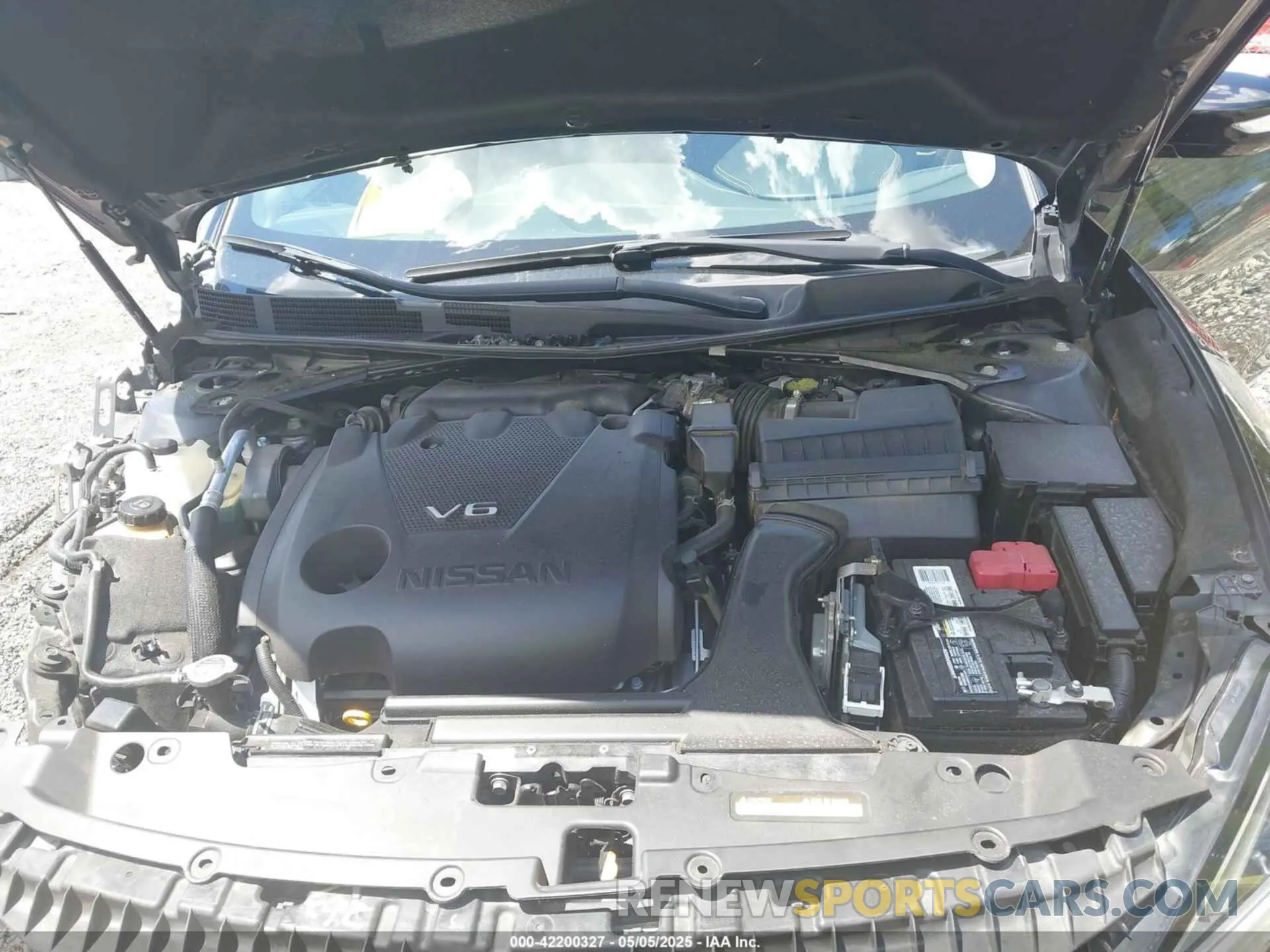 10 Photograph of a damaged car 1N4AA6CV5MC512231 NISSAN MAXIMA 2021