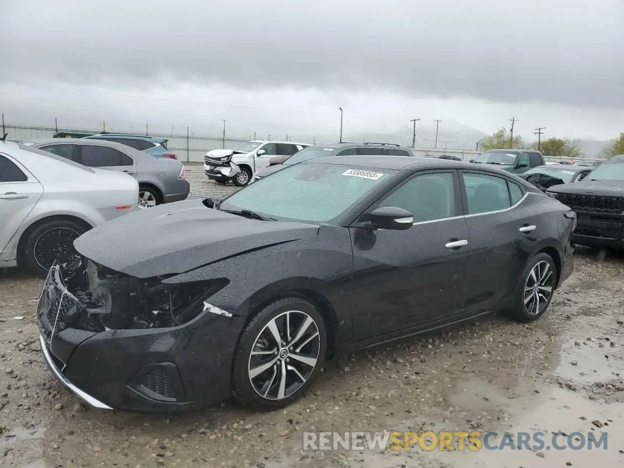 1 Photograph of a damaged car 1N4AA6CV5MC512360 NISSAN MAXIMA 2021