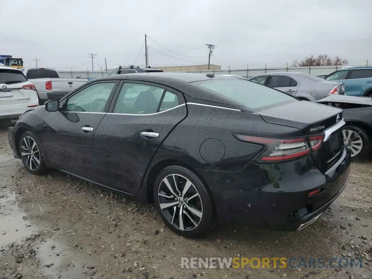 2 Photograph of a damaged car 1N4AA6CV5MC512360 NISSAN MAXIMA 2021