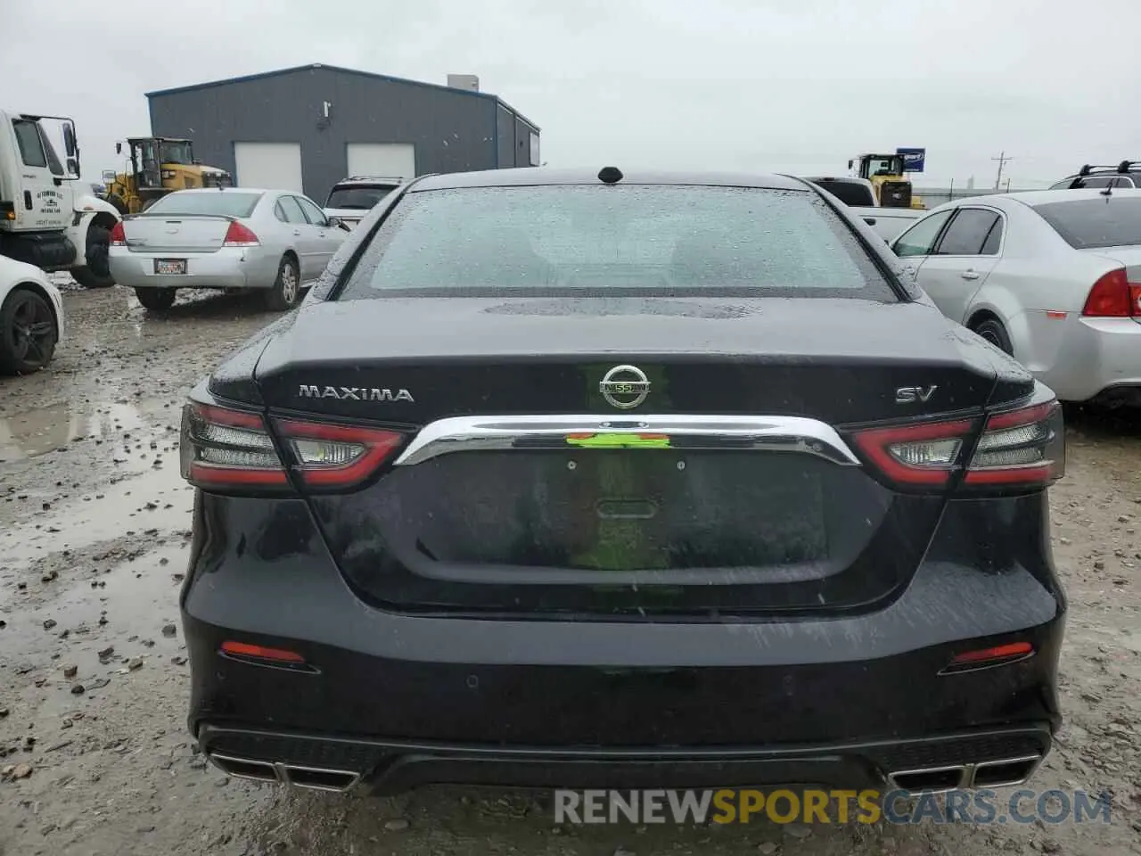 6 Photograph of a damaged car 1N4AA6CV5MC512360 NISSAN MAXIMA 2021