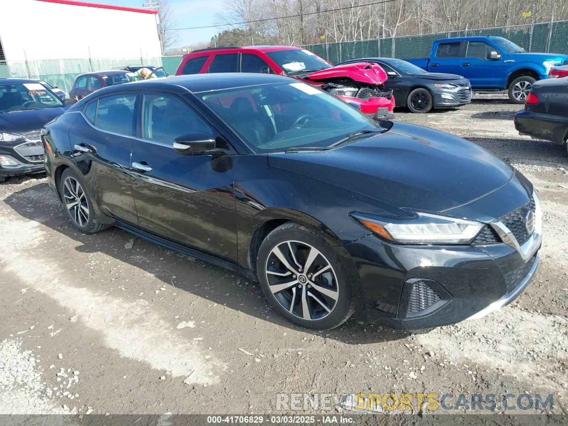 1 Фотография поврежденного автомобиля 1N4AA6CV5MC513640 NISSAN MAXIMA 2021