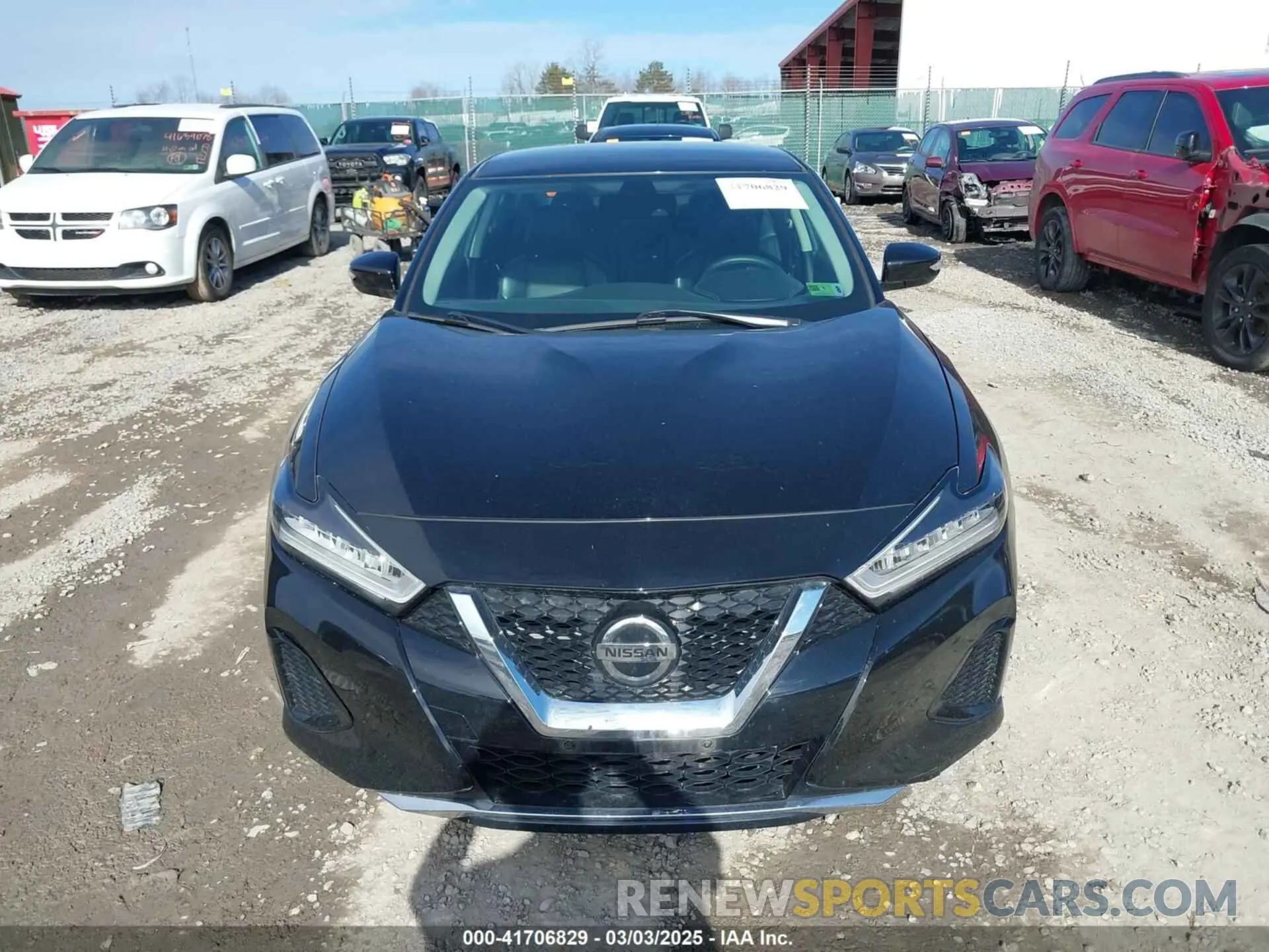 12 Фотография поврежденного автомобиля 1N4AA6CV5MC513640 NISSAN MAXIMA 2021