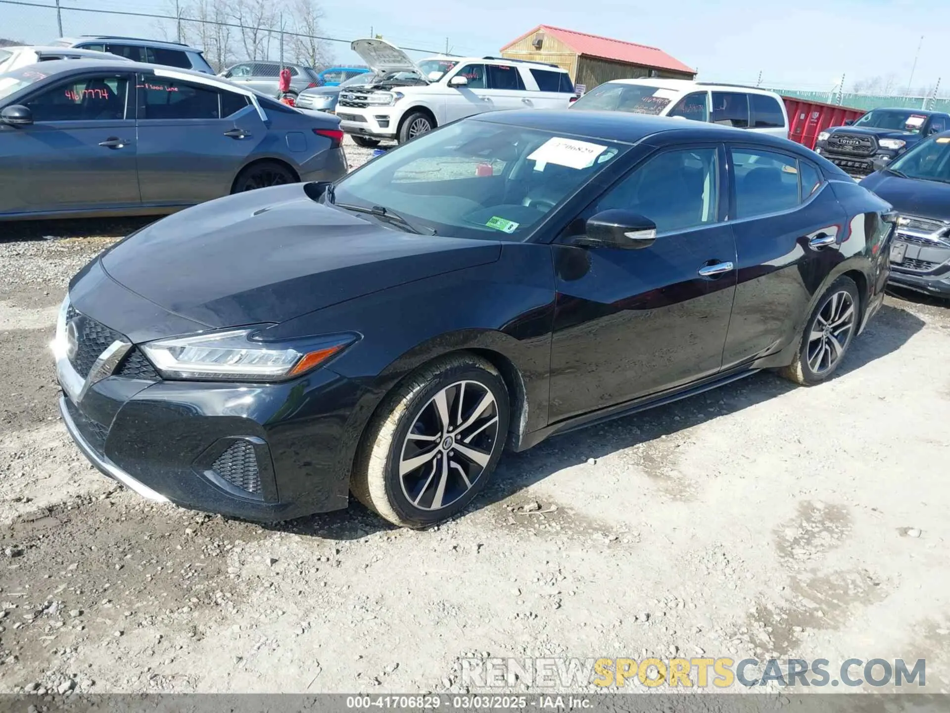 2 Фотография поврежденного автомобиля 1N4AA6CV5MC513640 NISSAN MAXIMA 2021