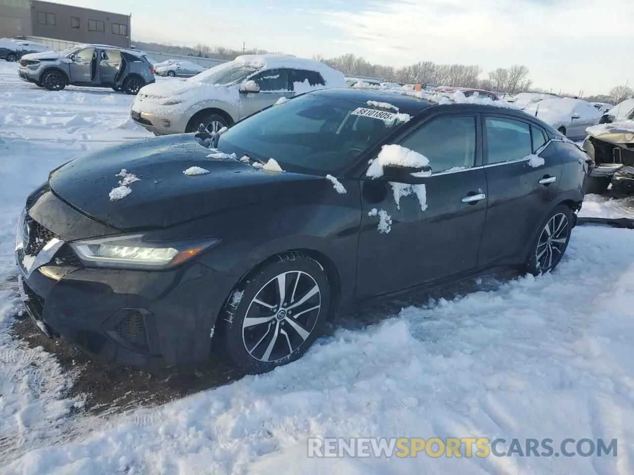 1 Фотография поврежденного автомобиля 1N4AA6CV6MC512190 NISSAN MAXIMA 2021