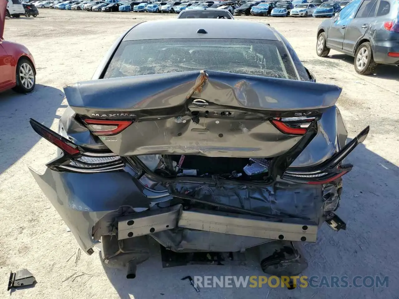 6 Photograph of a damaged car 1N4AA6CV8MC513454 NISSAN MAXIMA 2021