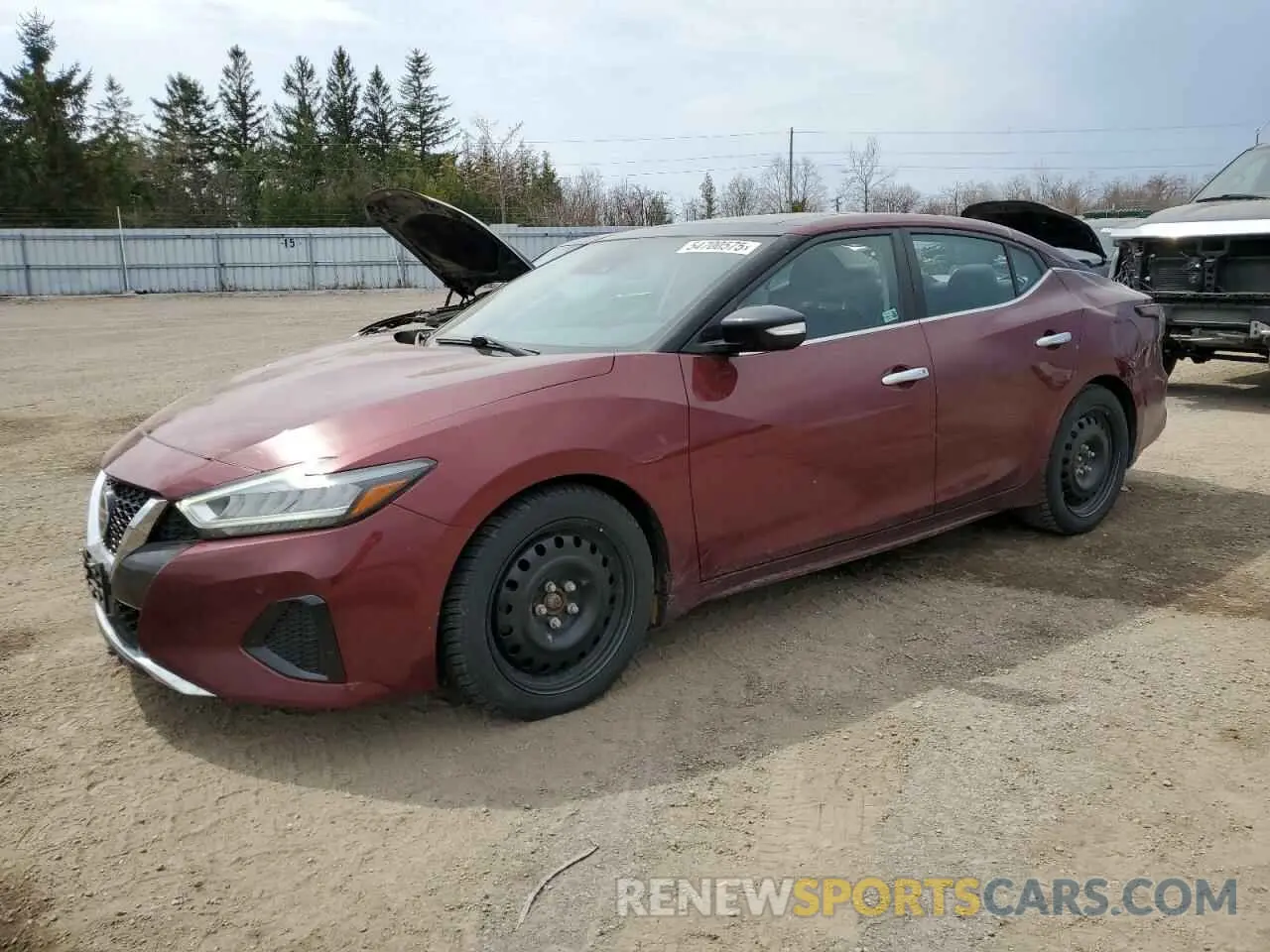 1 Photograph of a damaged car 1N4AA6DV8MC512593 NISSAN MAXIMA 2021