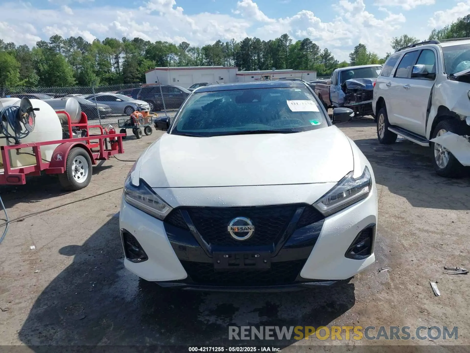 12 Photograph of a damaged car 1N4AA6EV5MC504966 NISSAN MAXIMA 2021