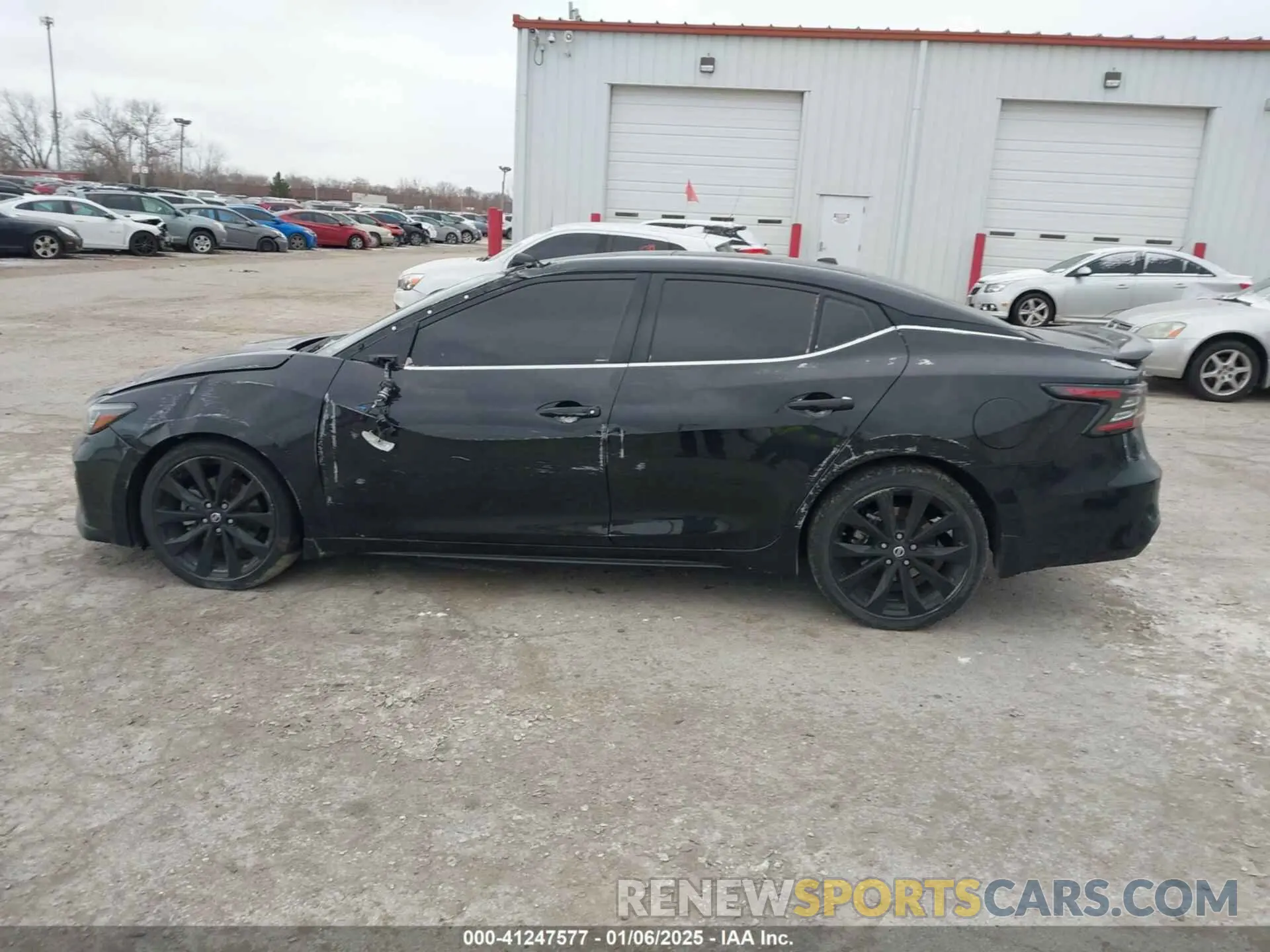 14 Фотография поврежденного автомобиля 1N4AA6EV8MC501821 NISSAN MAXIMA 2021