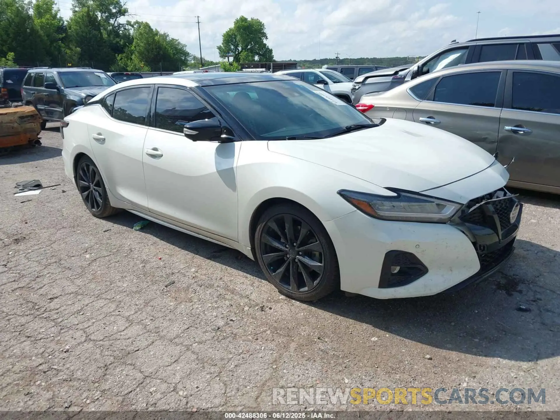 1 Фотография поврежденного автомобиля 1N4AA6EV8MC503360 NISSAN MAXIMA 2021