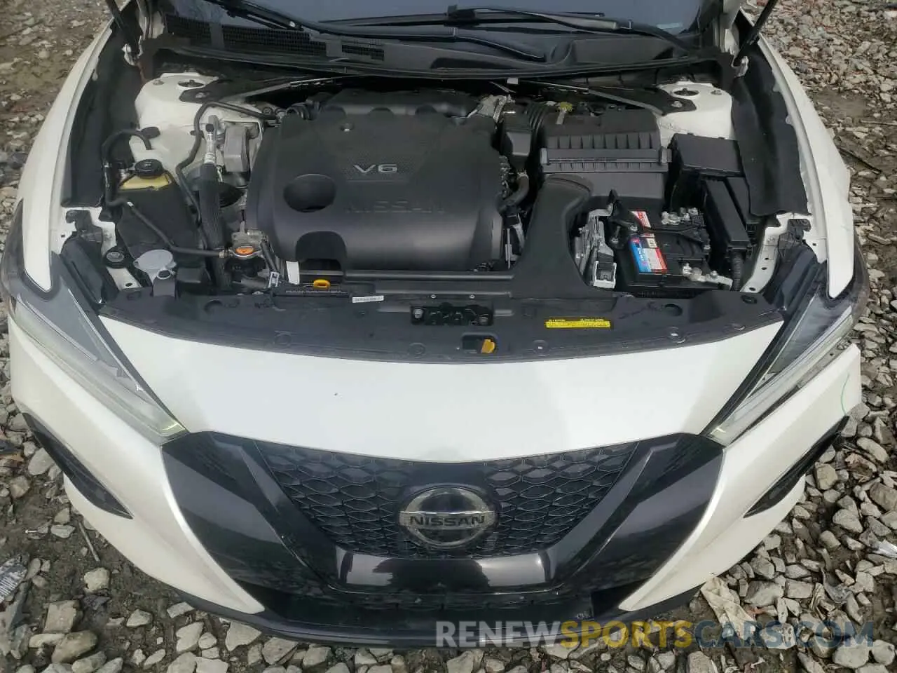 11 Фотография поврежденного автомобиля 1N4AA6EV8MC516089 NISSAN MAXIMA 2021