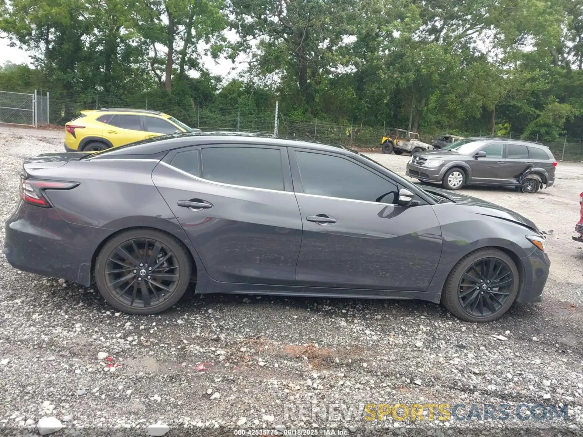13 Photograph of a damaged car 1N4AA6FV1MC501139 NISSAN MAXIMA 2021
