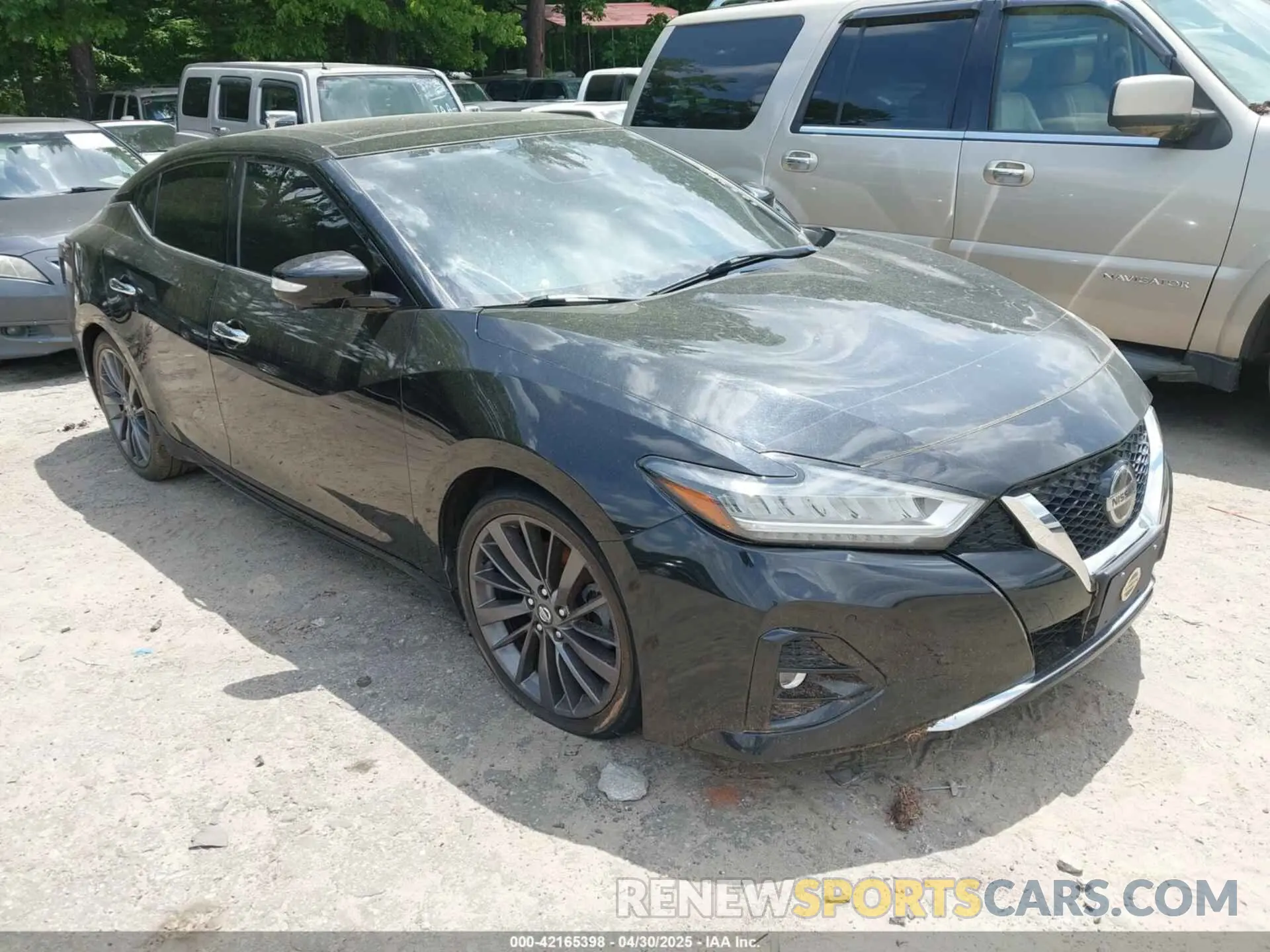 1 Фотография поврежденного автомобиля 1N4AA6FV8MC505480 NISSAN MAXIMA 2021