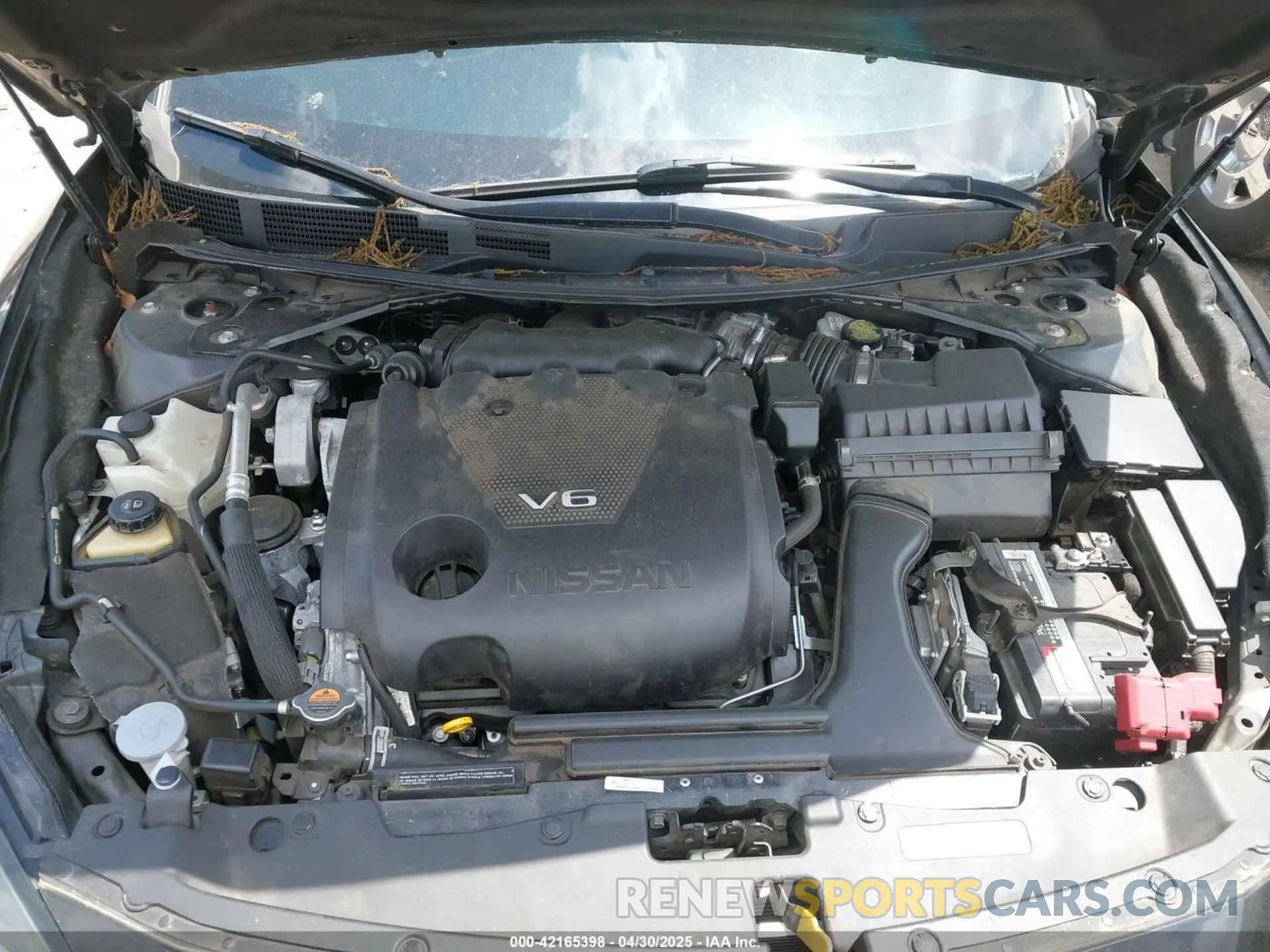 10 Фотография поврежденного автомобиля 1N4AA6FV8MC505480 NISSAN MAXIMA 2021