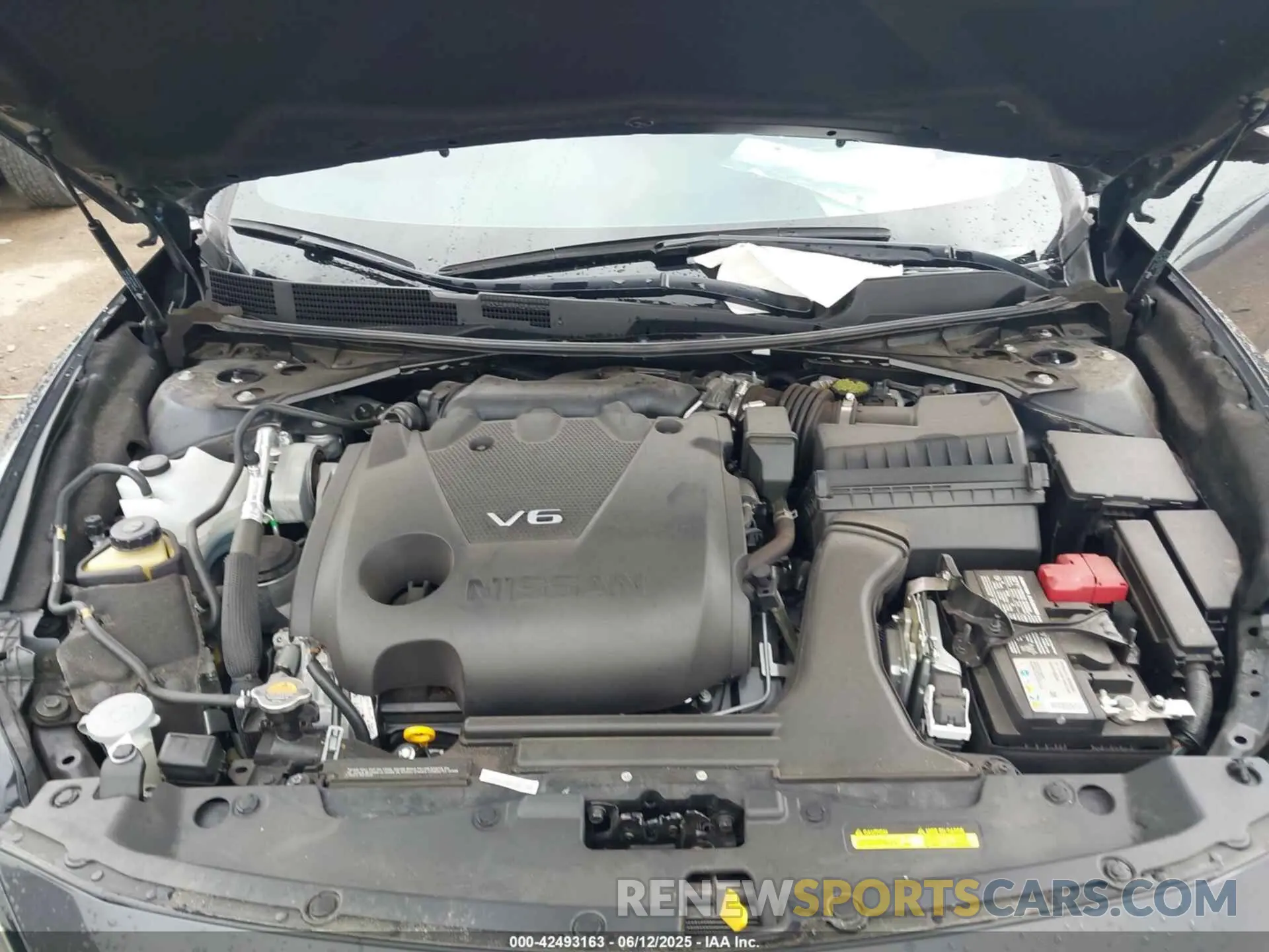 10 Фотография поврежденного автомобиля 1N4AA6FV8MC507746 NISSAN MAXIMA 2021