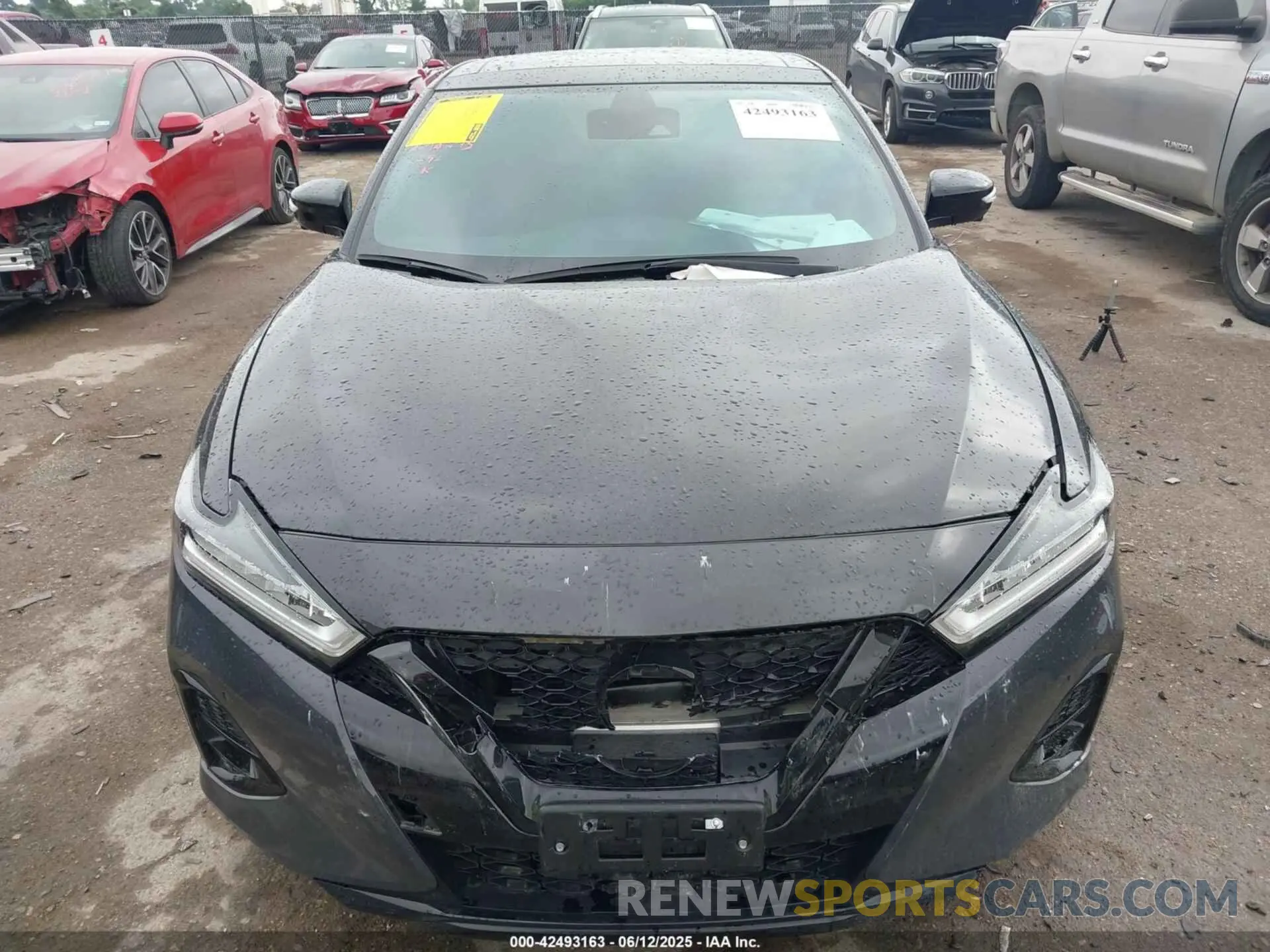 13 Фотография поврежденного автомобиля 1N4AA6FV8MC507746 NISSAN MAXIMA 2021