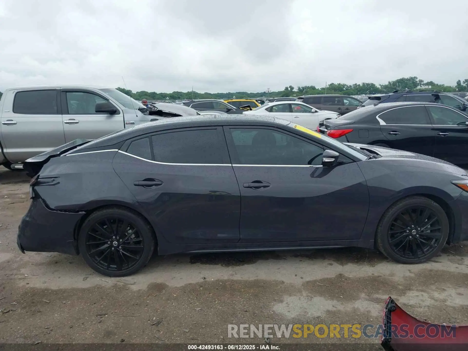 14 Фотография поврежденного автомобиля 1N4AA6FV8MC507746 NISSAN MAXIMA 2021