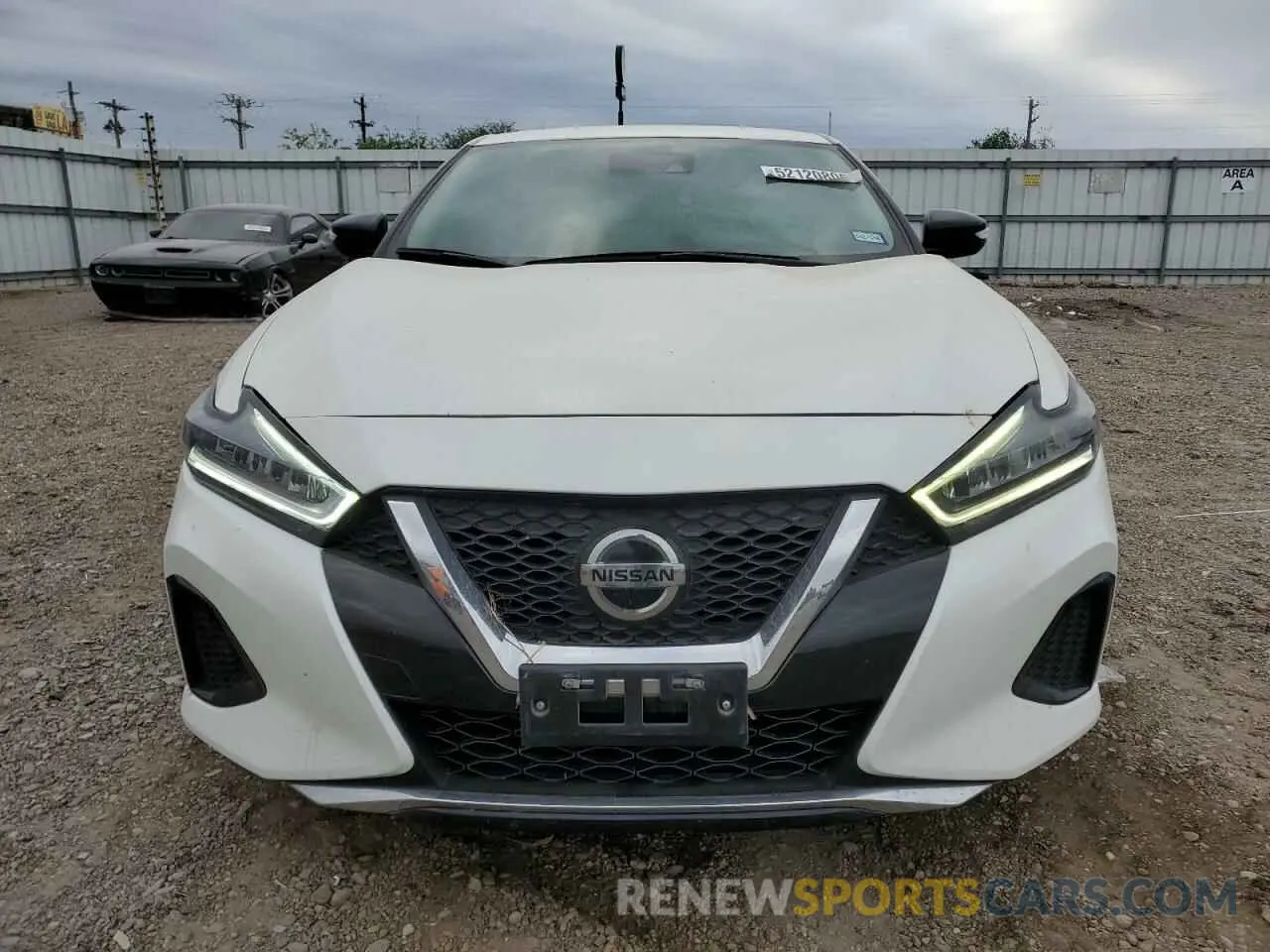 5 Фотография поврежденного автомобиля 1N4AA6CV0NC503390 NISSAN MAXIMA 2022