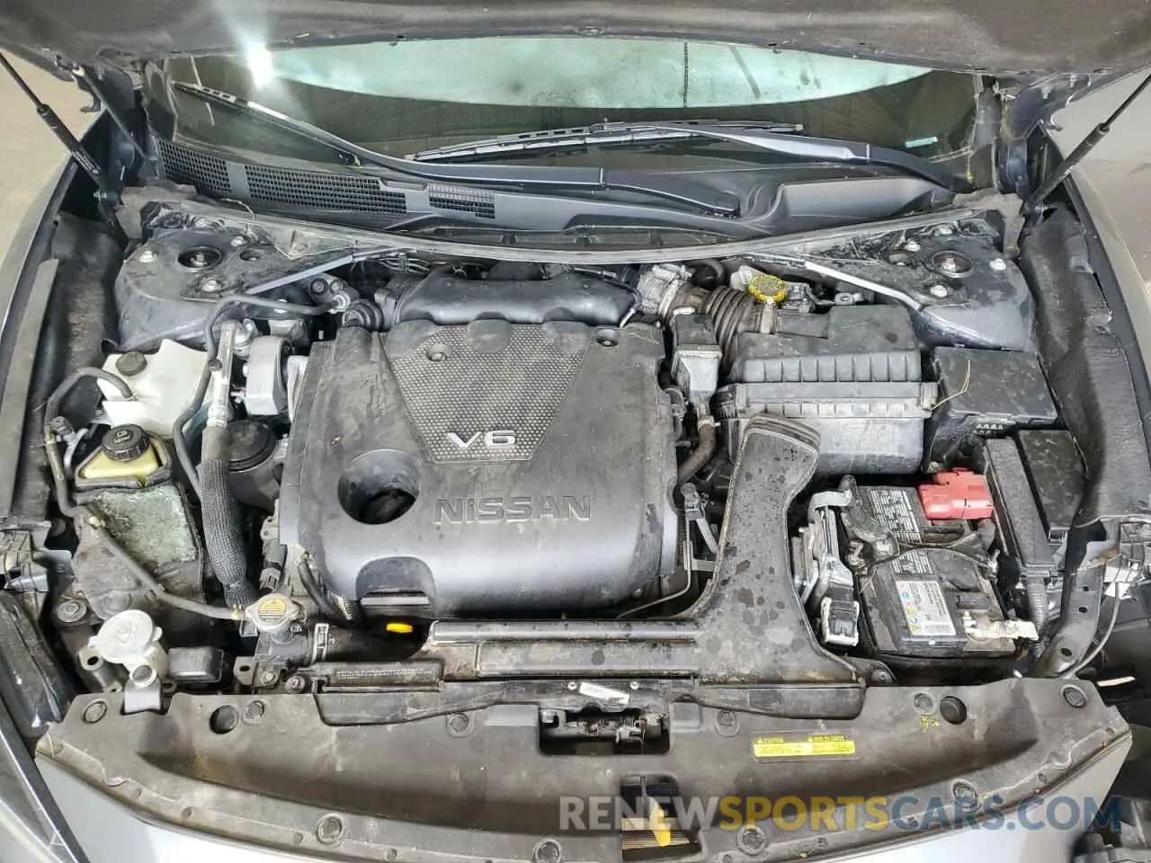 11 Photograph of a damaged car 1N4AA6CV5NC503868 NISSAN MAXIMA 2022