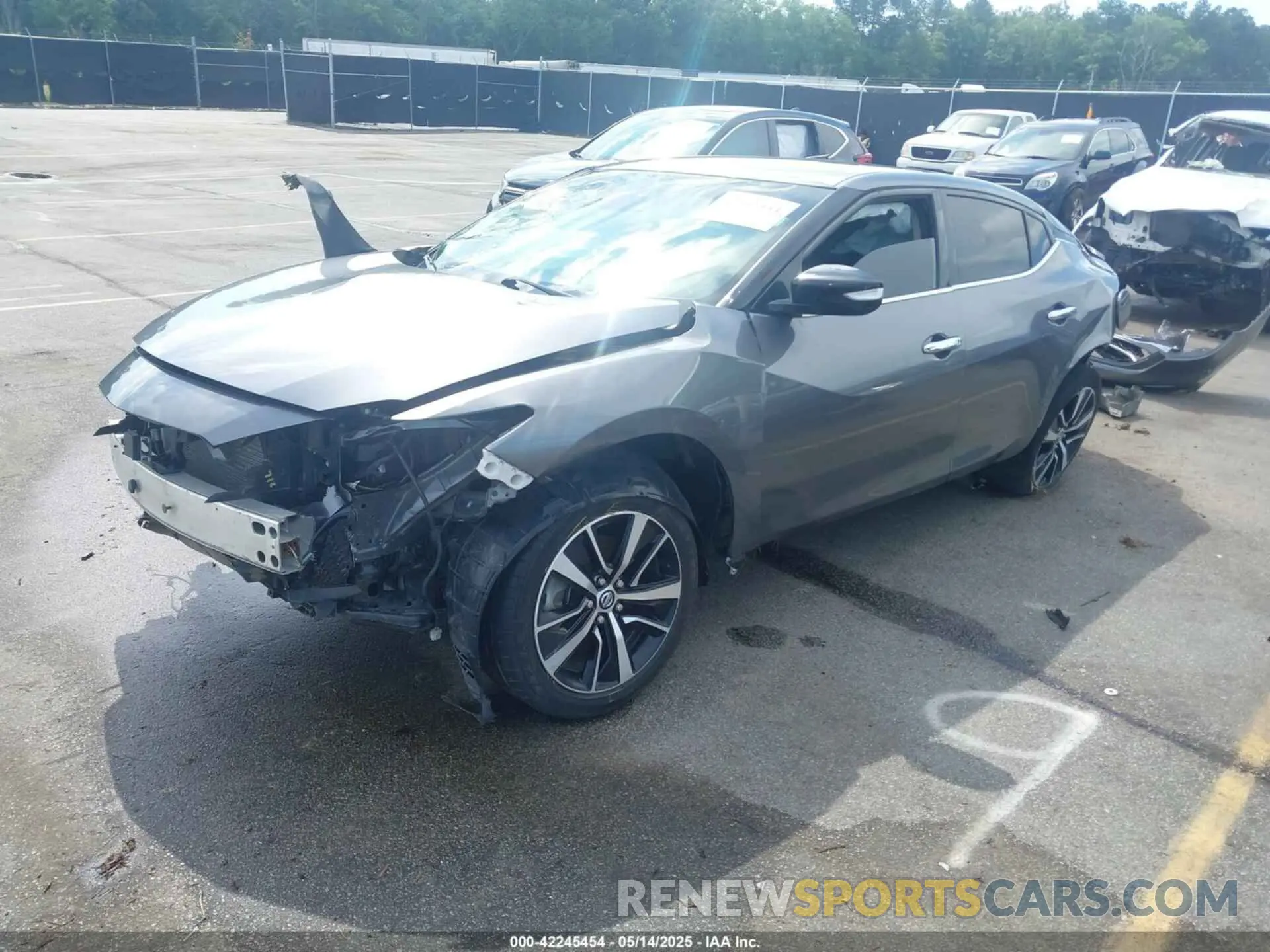 2 Photograph of a damaged car 1N4AA6CV6NC504799 NISSAN MAXIMA 2022
